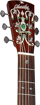 Blue Ridge アコースティックギター Amazon.com: Blueridge BR-163 Historic Series 000 Guitar : Musical