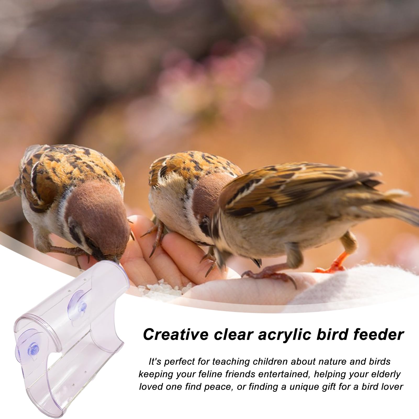 Mangeoire à Oiseaux Transparente Pour Fenêtre, Décoration De Jardin, Mangeoires En Acrylique Transparent Robuste Et Durable Pour Observer Les Oiseaux Sauvages à L'extérieur