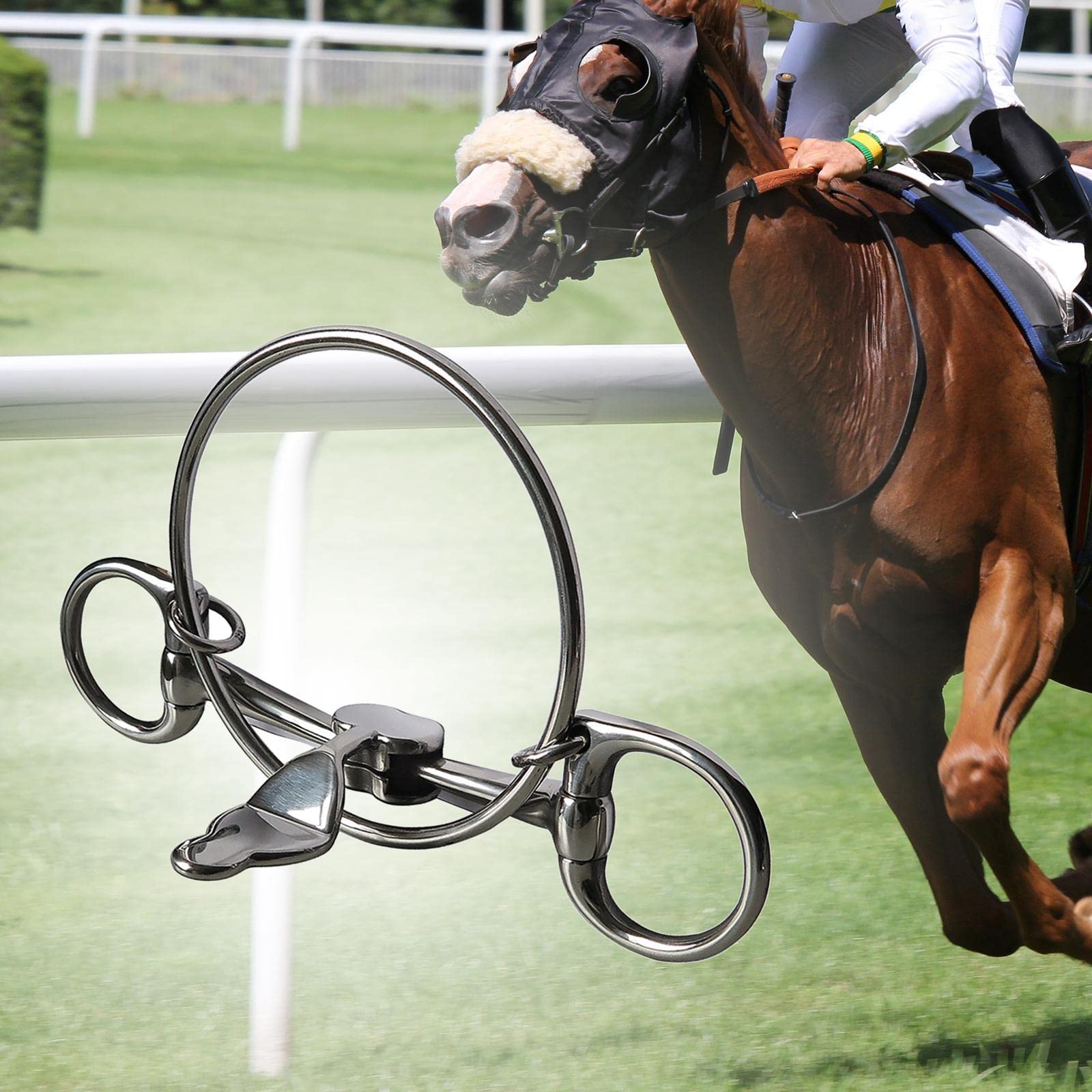 Mors de Cheval W/Curb Crochets Chaîne Mors Argent Garnitures Western Harnais pour l'Entraînement Équipement Équestre Mors de Cheval W/Curb Crochets Chaîne Mors Argent Garnitures Western Harnais pour l'Entraînement Équipement Équestre