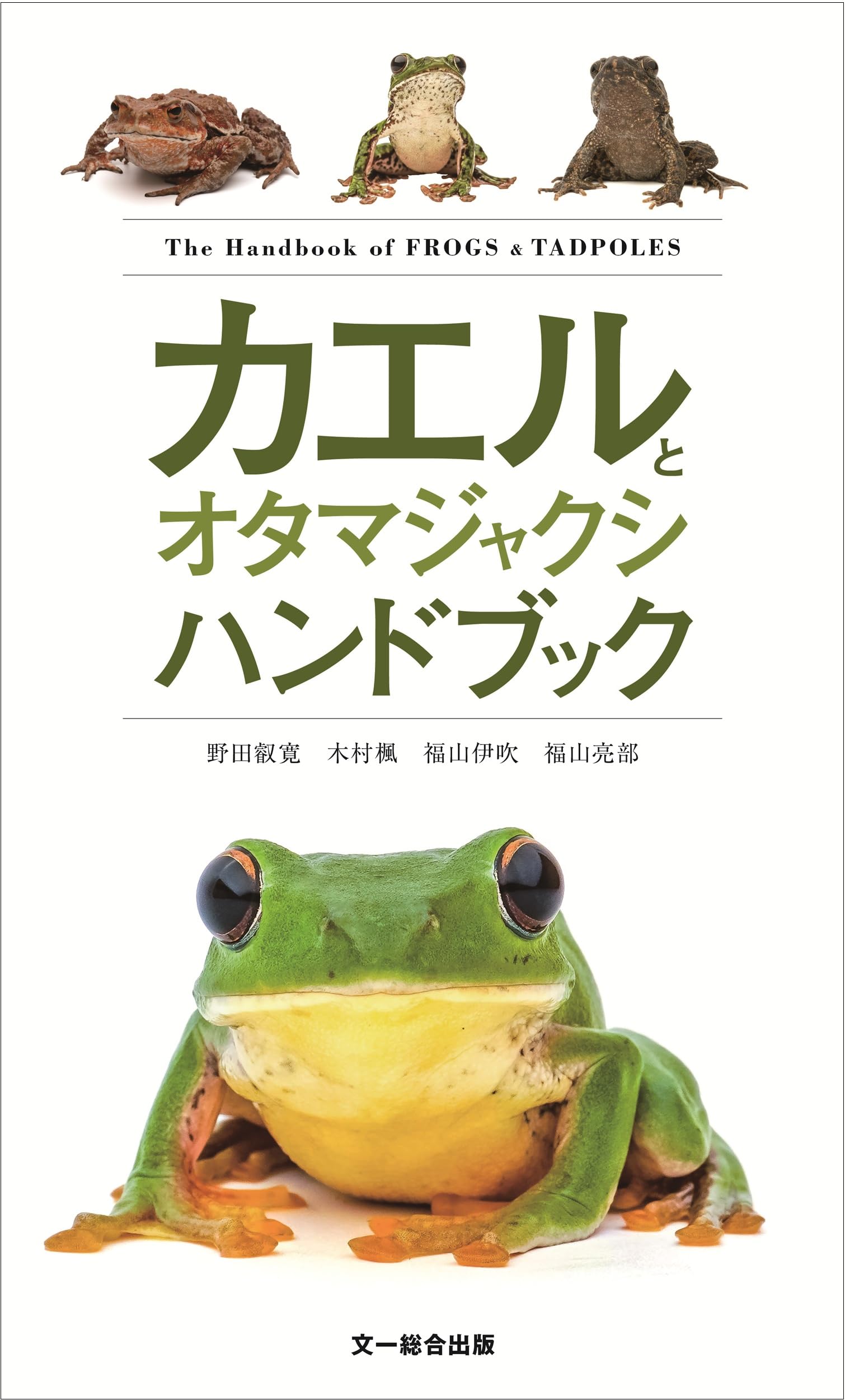 Amazon.co.jp: カエルとオタマジャクシハンドブック : 野田叡寛, 木村
