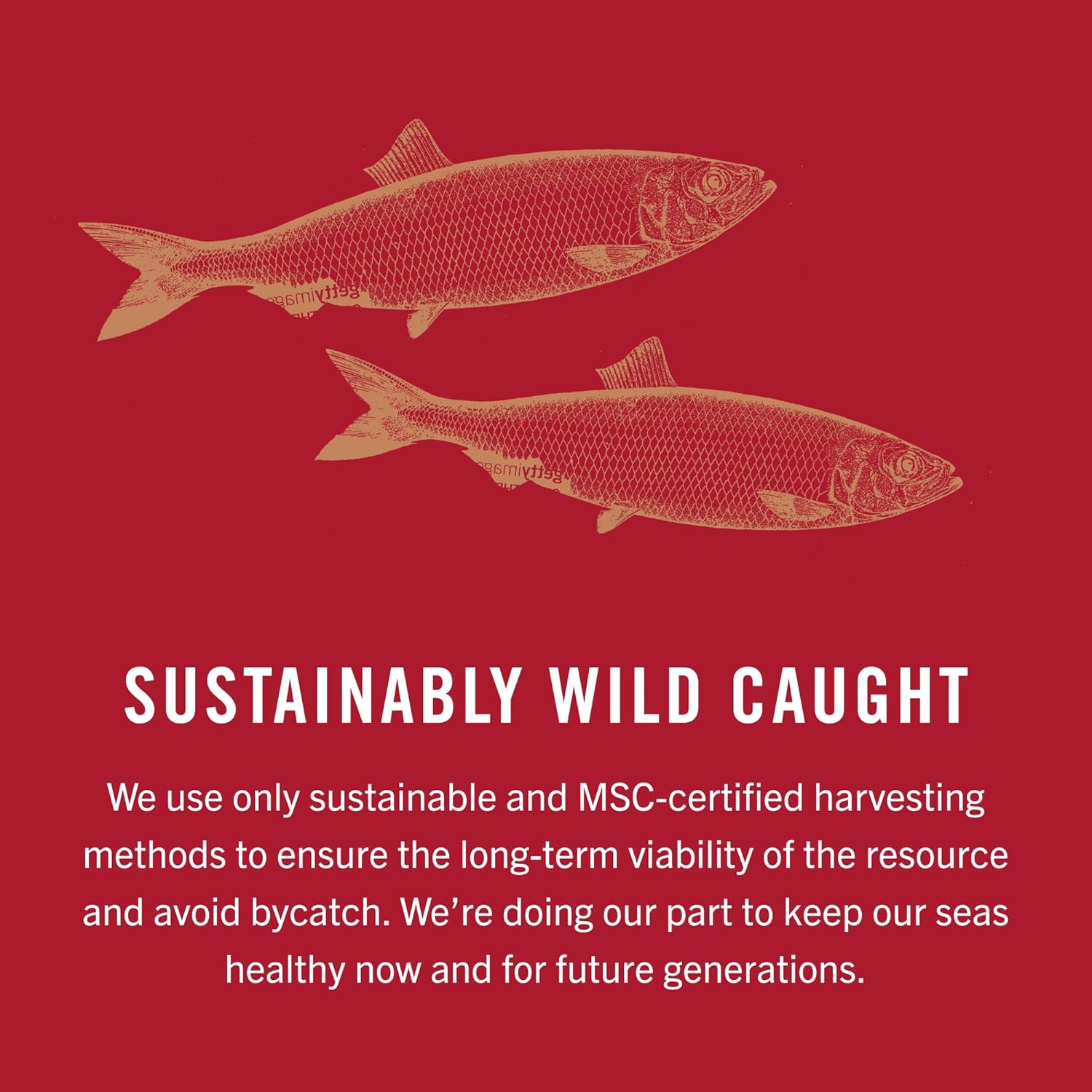 Kipper Snas, 3.54 Ounce Cans (), Lightly Smoked Herring