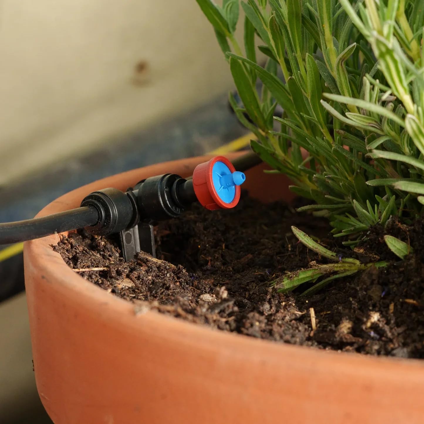 BOUM DRIP Starterpaket mit TANK – Smarte automatische Tröpfchenbewässerung für Balkon, Terrasse & Garten | Solarbetrieben | Wetteradaptive Pflanzenbewässerung | Für bis zu 20 Töpfe & Balkonkästen