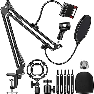 InnoGear Microphone Stand Mic Stand Boom Arm Mic Arm Microphone Arm with Phone Holder, Pop Filter, Shock Mount, Windscreen, Mic Clip, Cable Ties, 3/8'' to 5/8'' Screw Adapter