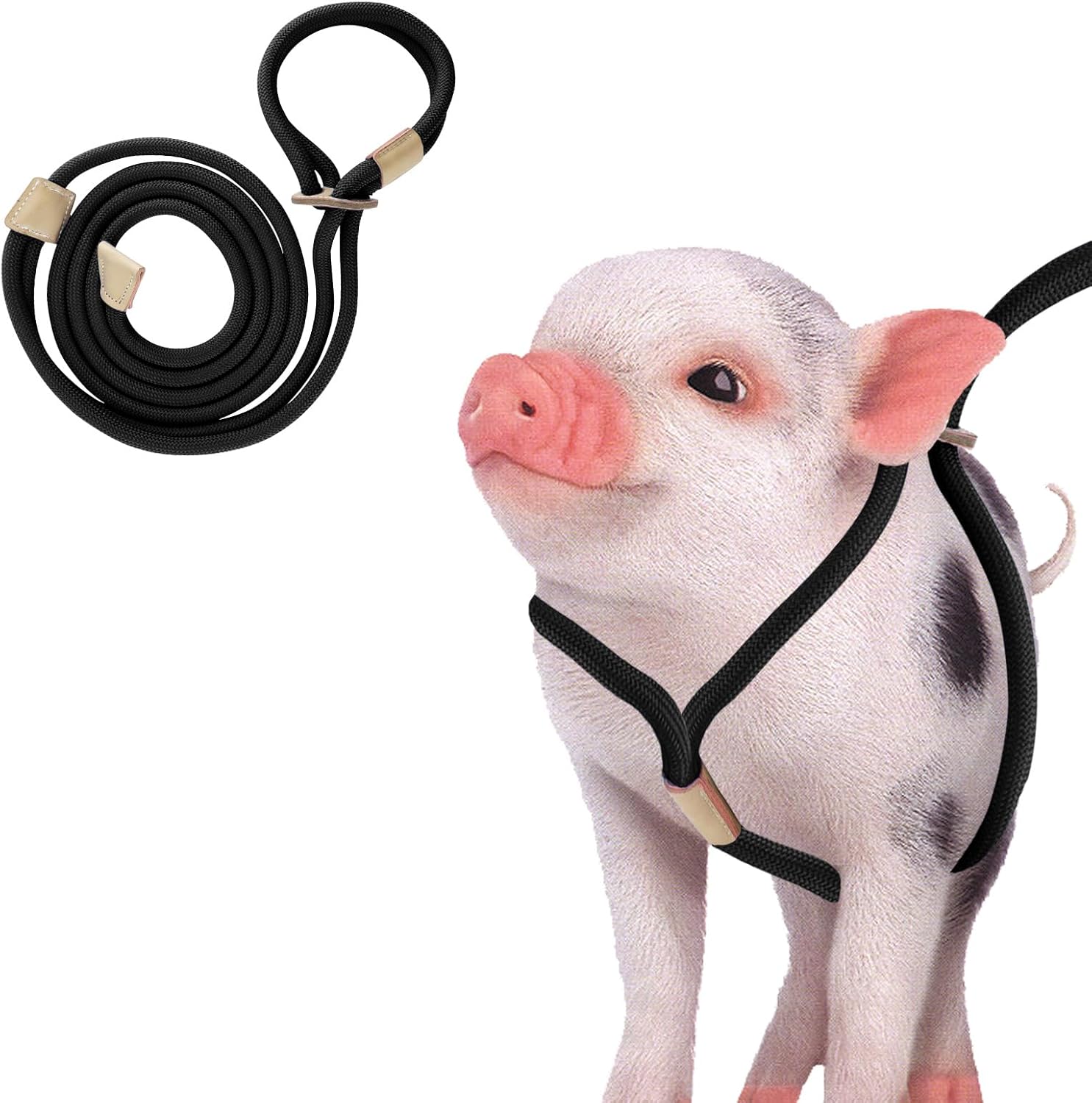 Pig Harness, Adjustable 8 Feet Leash for Small to Medium Pet Pigs