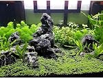 LANDEN Natural Tonwa Rocks (17lbs, 2-8 inches) Aquarium Seiryu Stones for Aquascaping, Aquarium Landscaping, Terrariums, Fish Tank Decoration, Vivariums, Paludarium, Reptile and Amphibian Enclosures