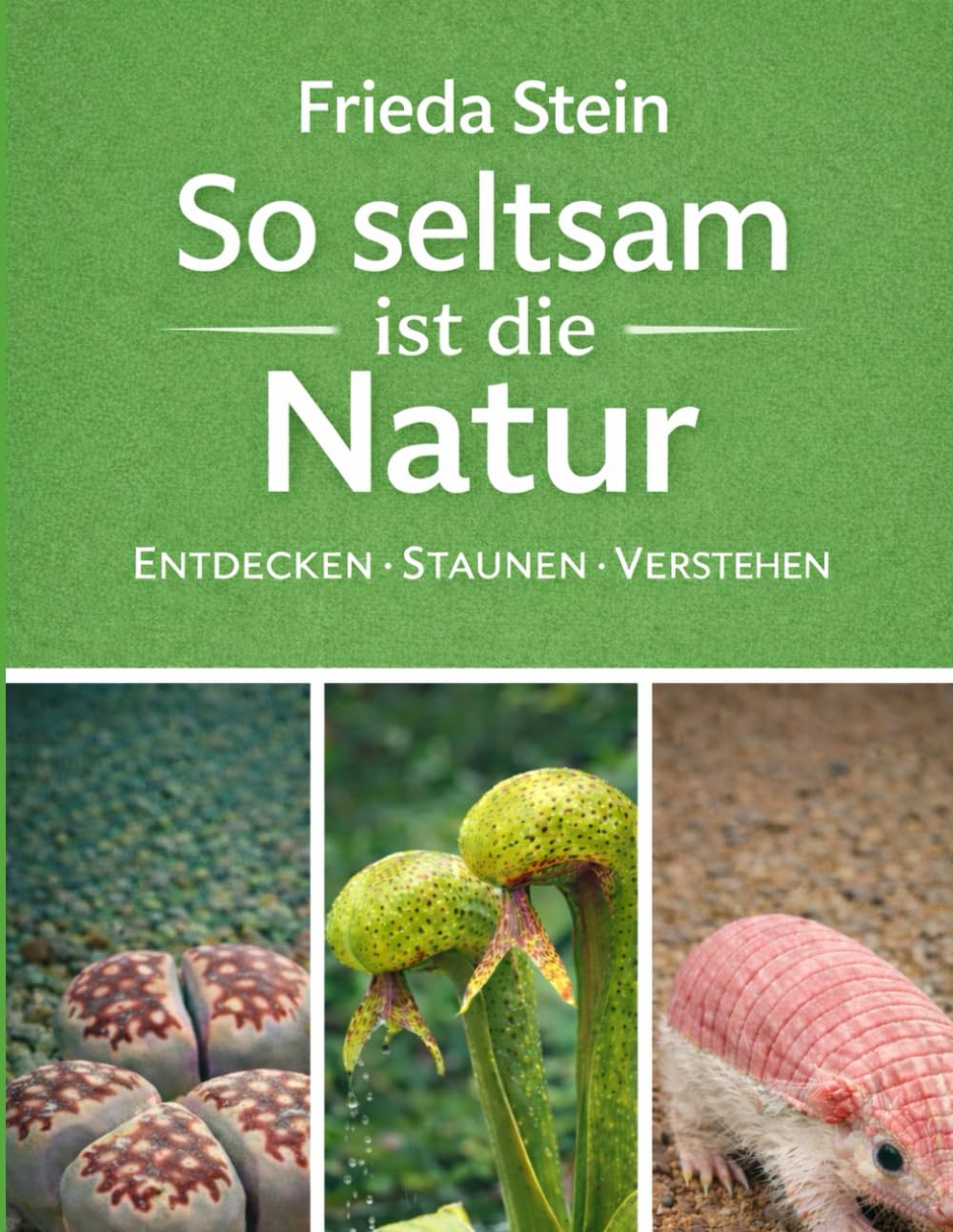 So seltsam ist die Natur: Entdecken, staunen, verstehen