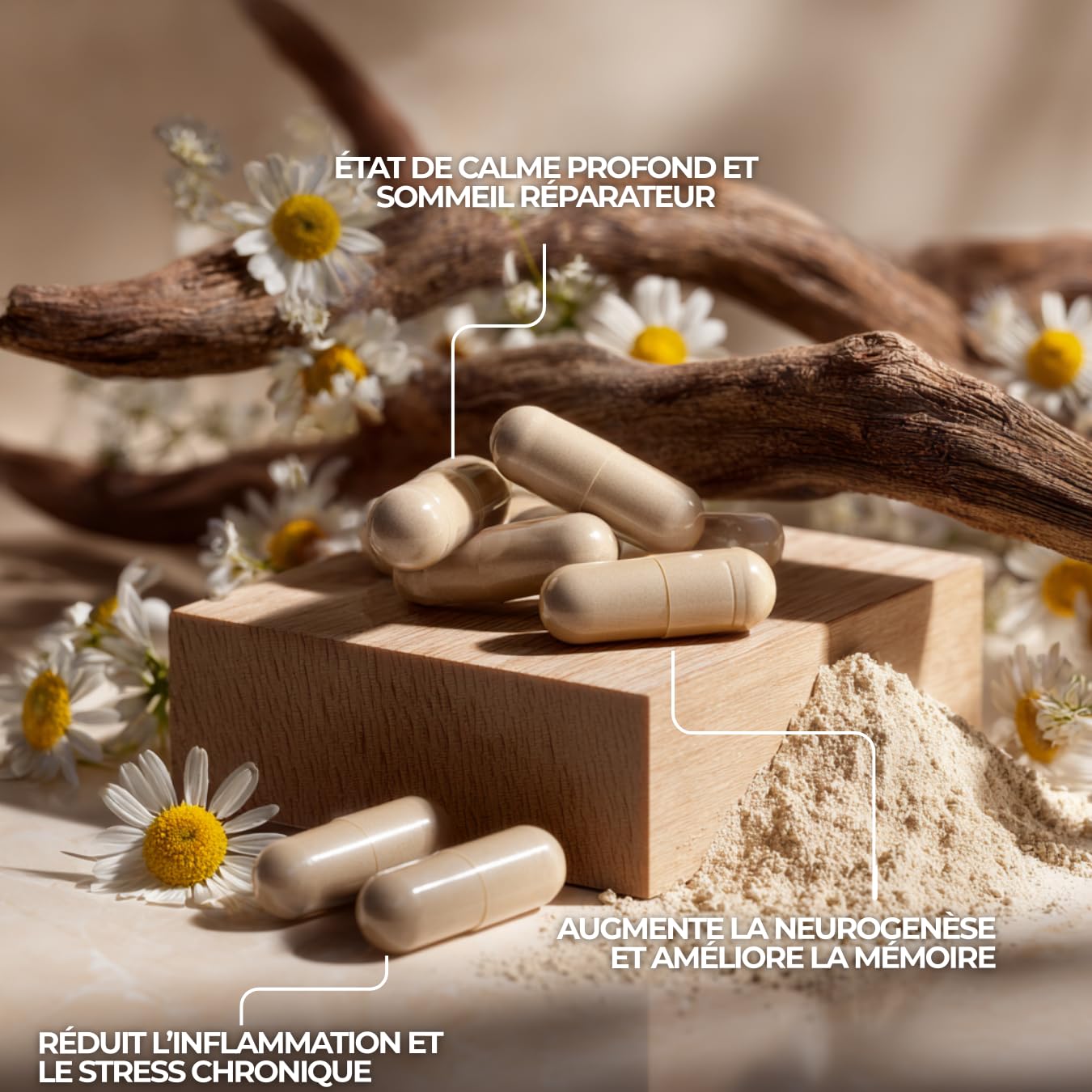 Apigénine Pure – Extrait Concentré – 60 Gélules – Détente & Équilibre