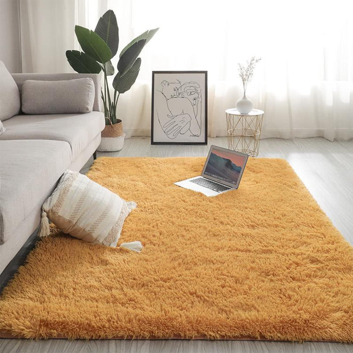 Jyswx Soft Shaggy Area Rugs for Living Room Modern Bedroom Rugs Small