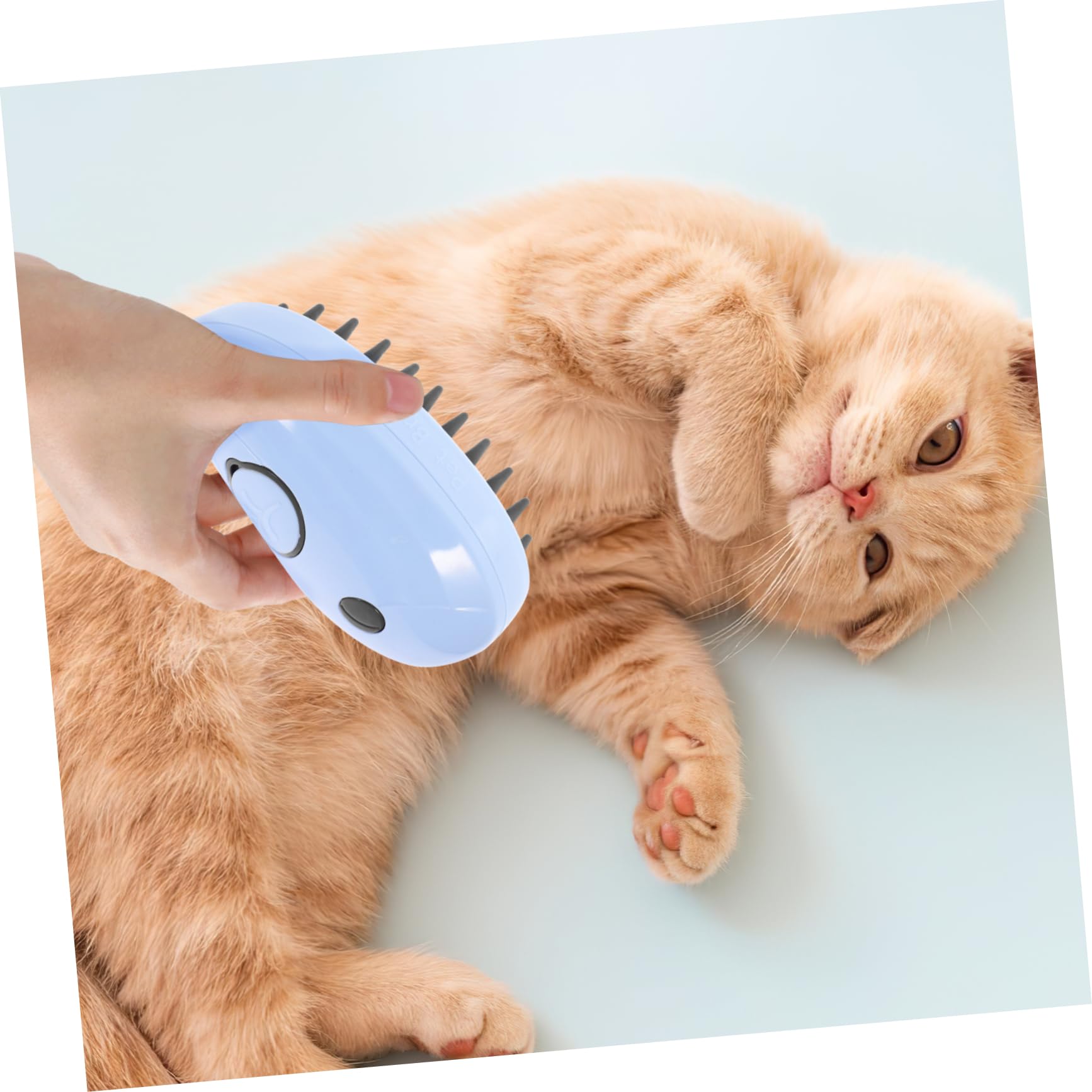 Toddmomy 4pièces Brosse à Vapeur Auto-nettoyante Pour Chat Brosse De Massage Multifonctionnelle Idéale Pour Bain Et Élimination Des Poils Emmêlés Couleur Bleue