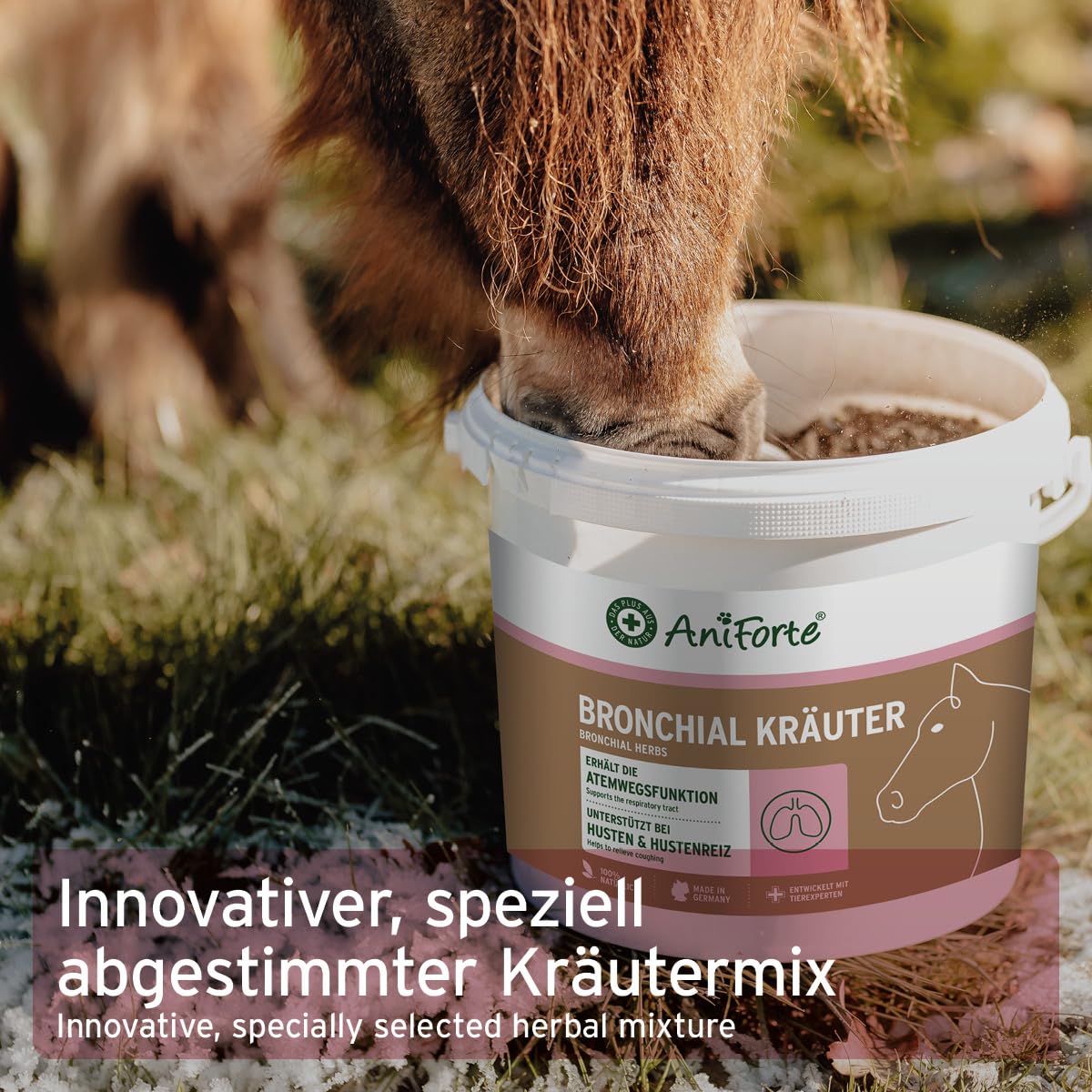 AniForte Bronchialkräuter Pferd 1kg - Bei Husten & Schnupfen, Atemwegskräuter Pferd als Ergänzungsfutter, Pferde Hustenkräuter für freie Atemwege, natürliche Kräuter mit Methylcystein