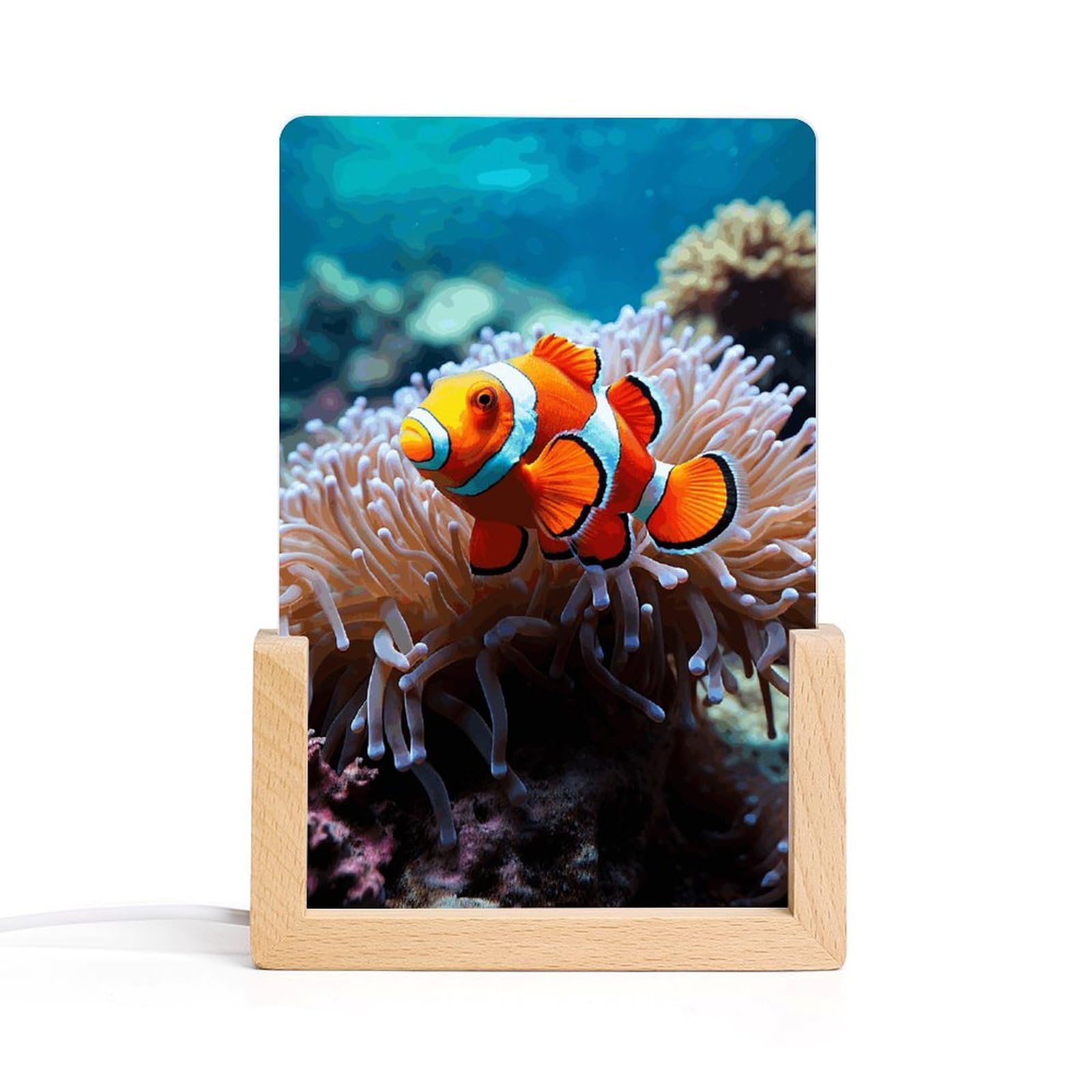 JTREHY Acrylic Night Light,Clown Fish Printed Wooden Base LED Night Light Modern Home Decoration Light with USB Switch Cable for Bar Cafe Bedroom Room Decoration