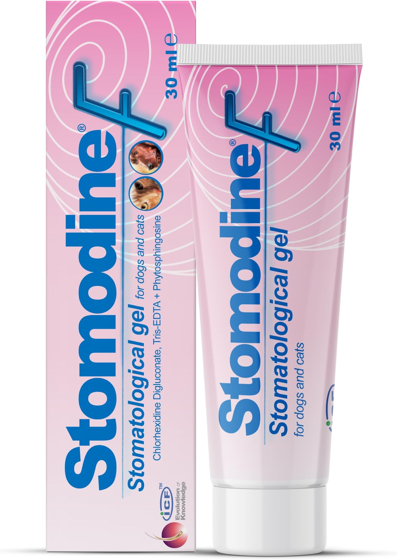 ICF Stomodine F Cat & Dog Toothpaste Meat Flavour Fights Plaque