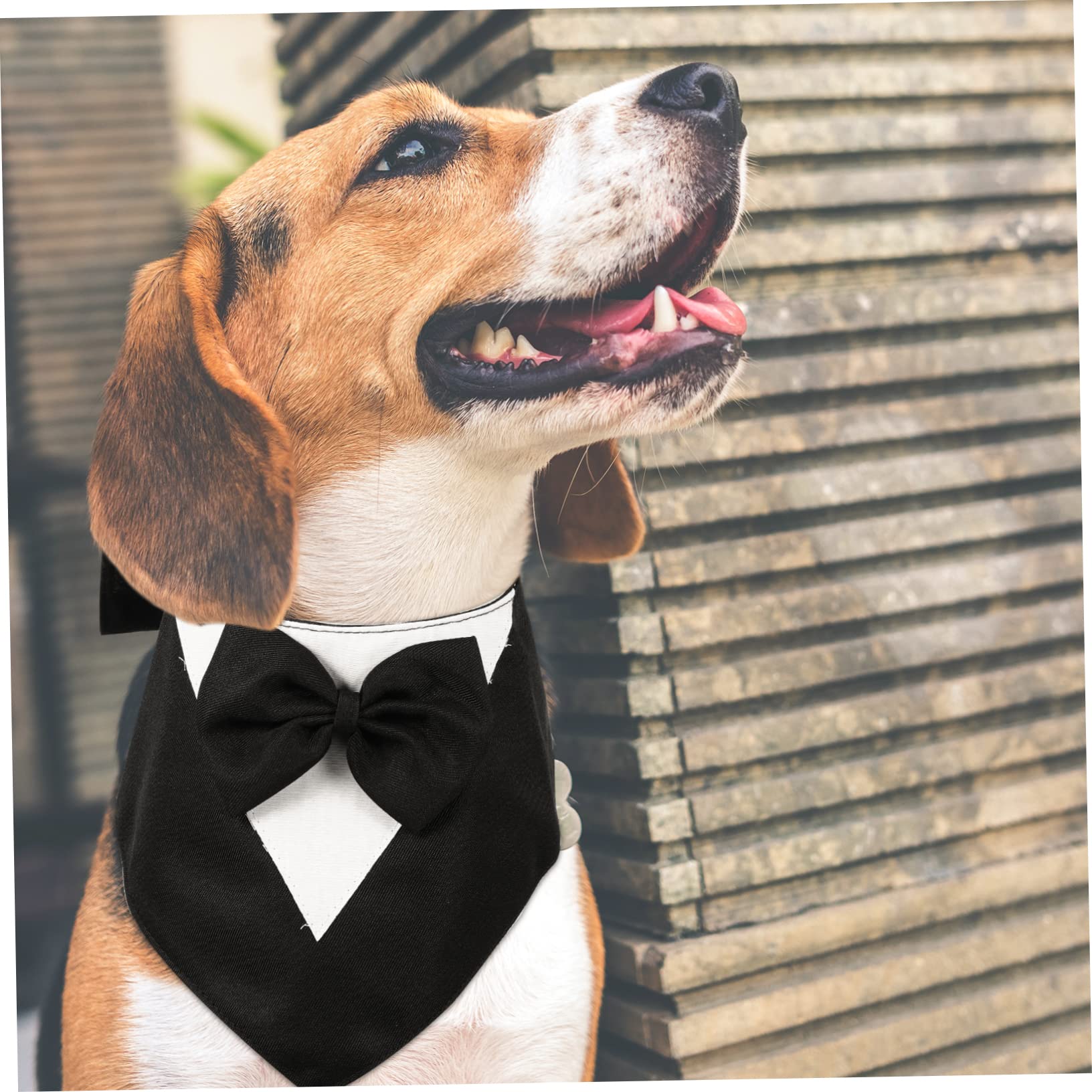 BESPORTBLE 5pièces Collier Bandana pour Chien avec Nœud Costume Élégant pour Fête Anniversaire Mariage Et Événements Spéciaux Noir