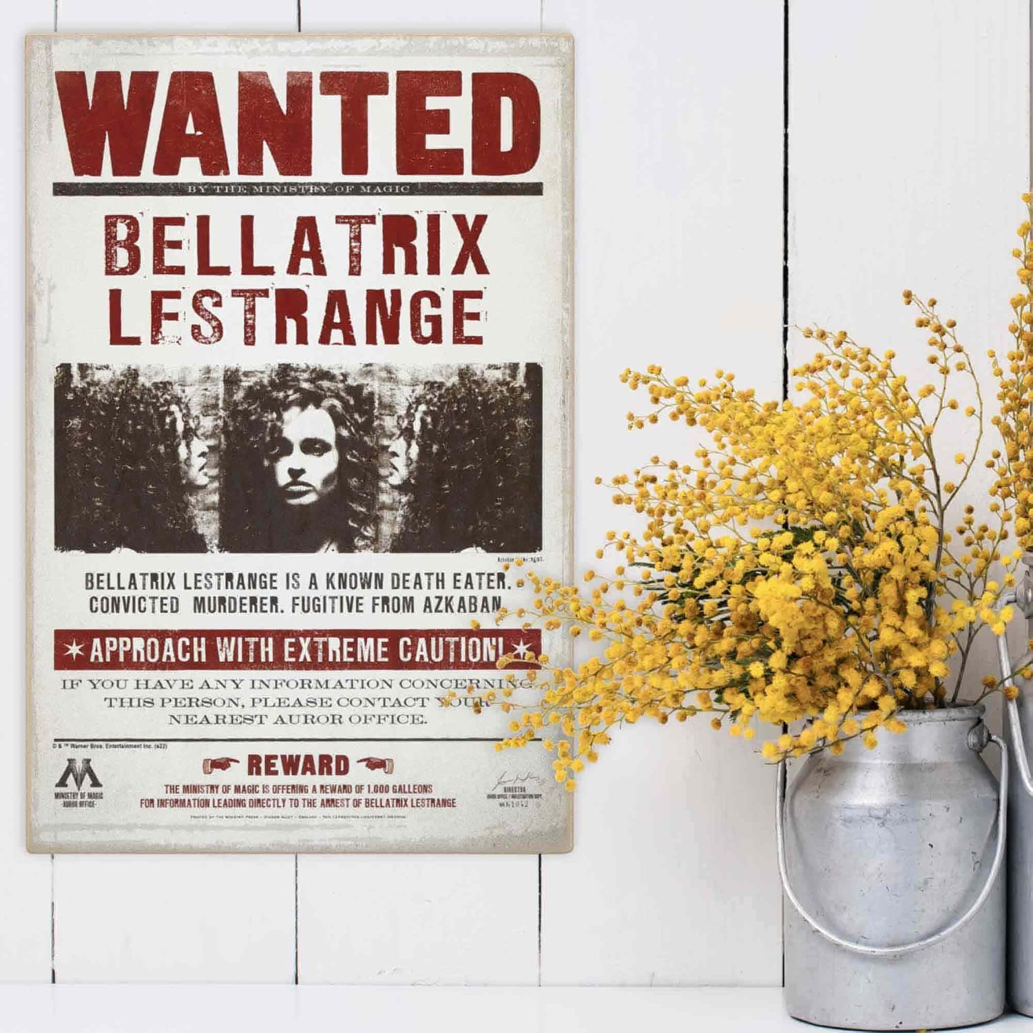 Harry Potter Bellatrix Lestrange Wanted Wood Wall Decor - Vintage Bellatrix Lestrange Sign for Kids' Bedroom or Movie Room