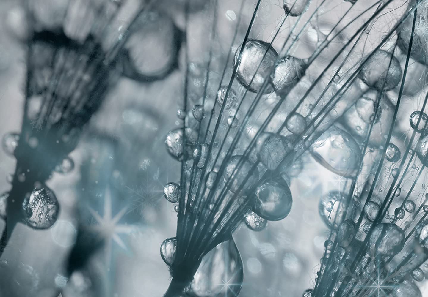 murando - Acrylglasbild Natur Botanik Pusteblume, 200x100 cm, 5-teilig | Hochwertige Leinwand, sofort aufhängbar, ideal fürs Wohn- oder Schlafzimmer, wasserfest und lichtecht, langlebig, stilvoll