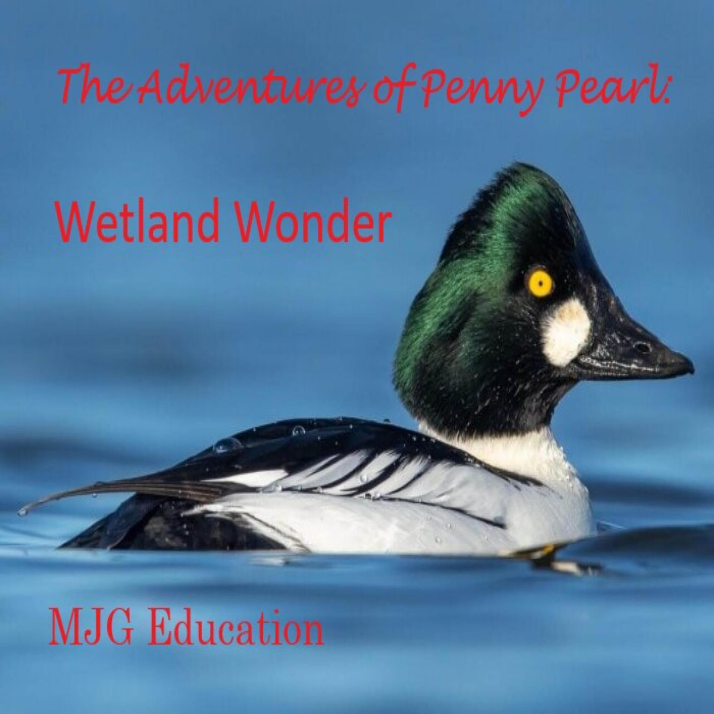 Cover art for Wetland Wonder