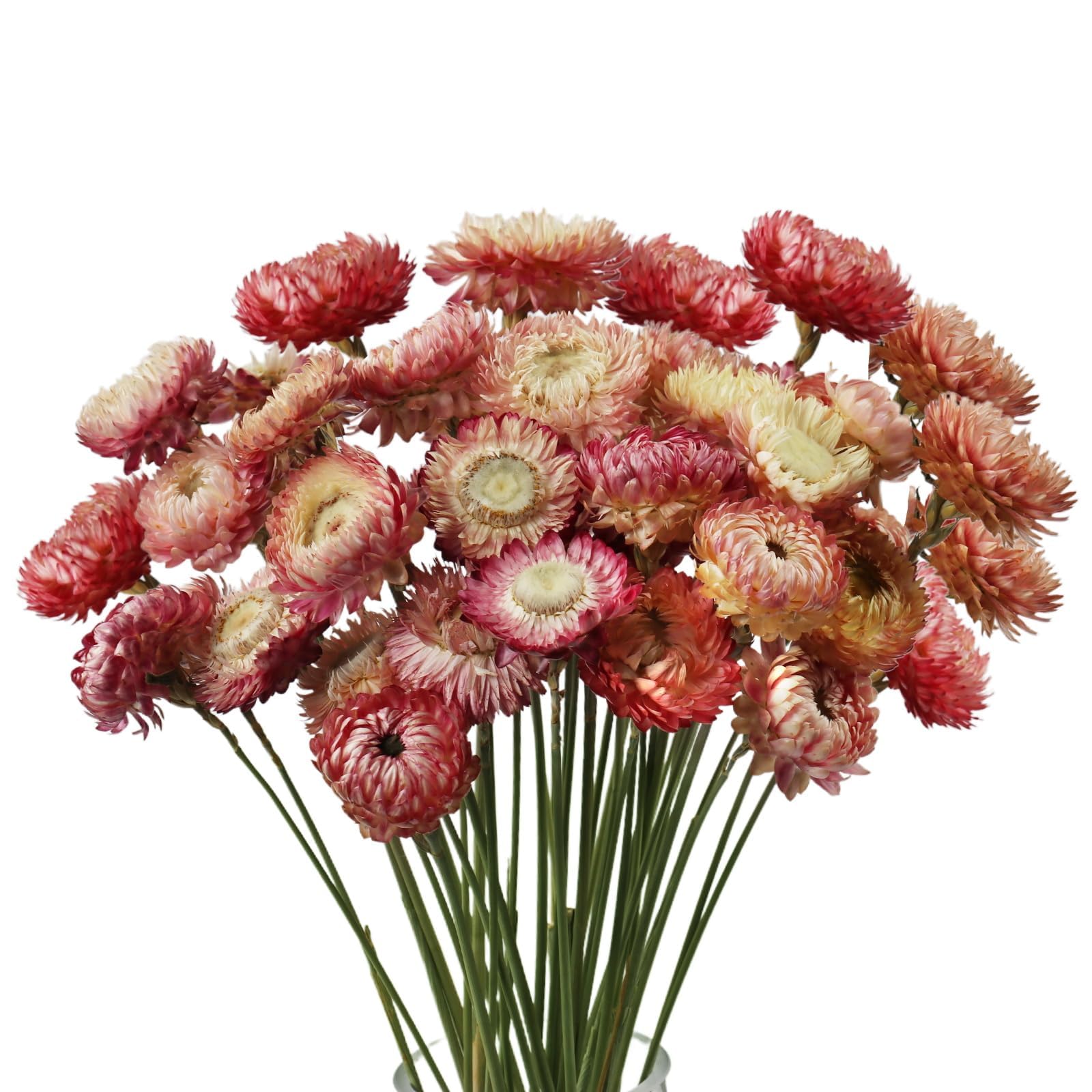 MIHUAGE Dried Chrysanthemum Bouquet