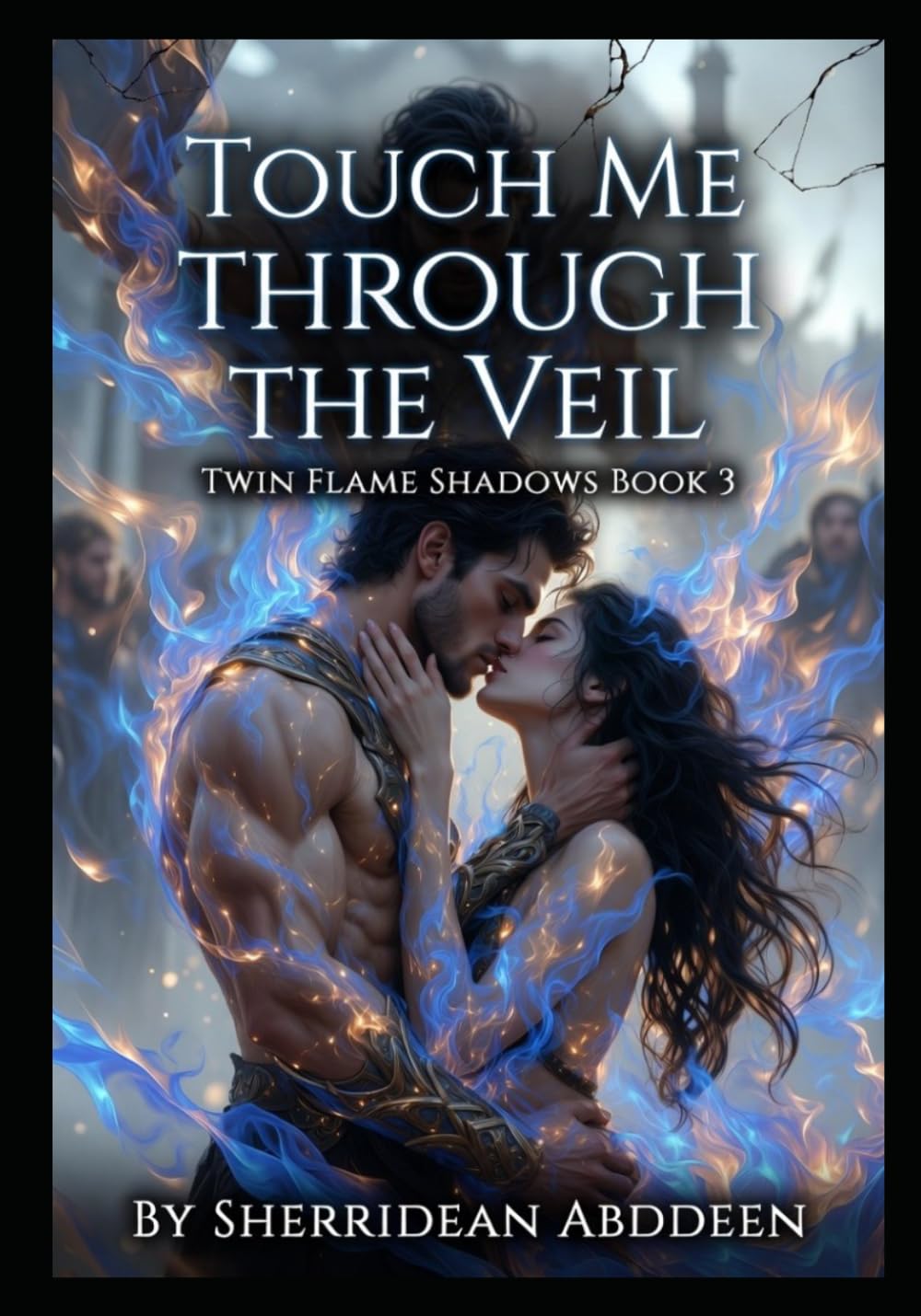 Touch Me Through the Veil Twin Flame Shadows Book 3