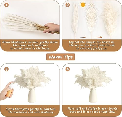 Miniatura 6 de 20 piezas de decoración de hierba de pampa blanca, hierba de pampa seca natural, relleno de jarrón corto de pompas a granel, plumas de flores secas