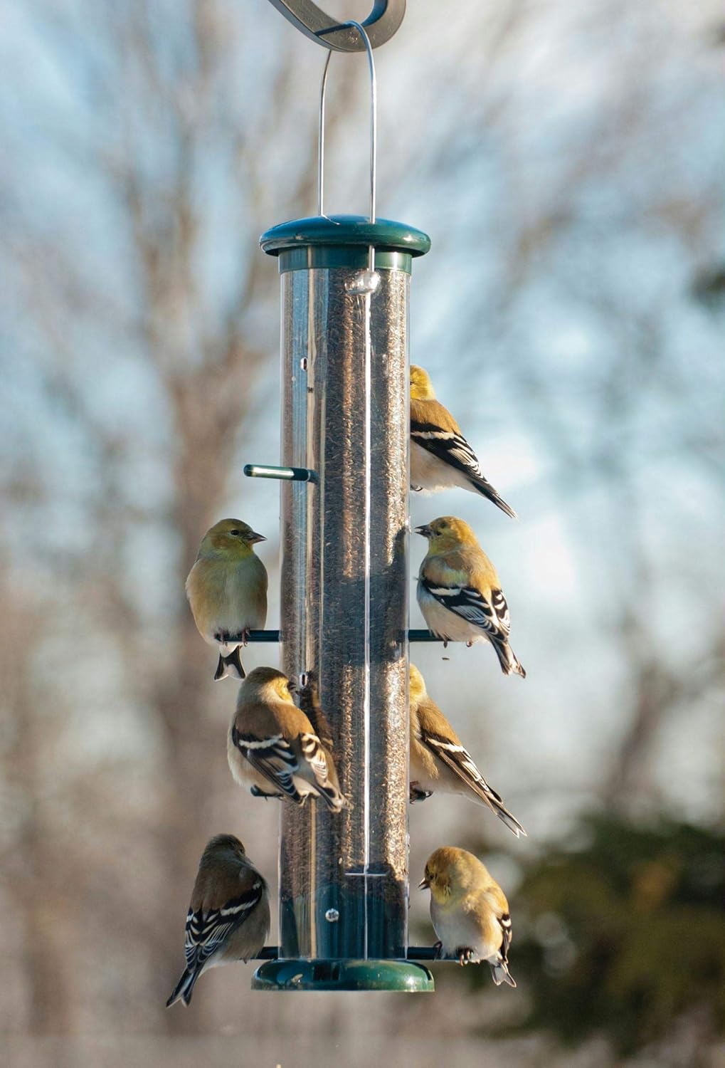 Audubon NATUBE9 15 Audubon 8 Port Thistle Tube Finch Birdfeeder