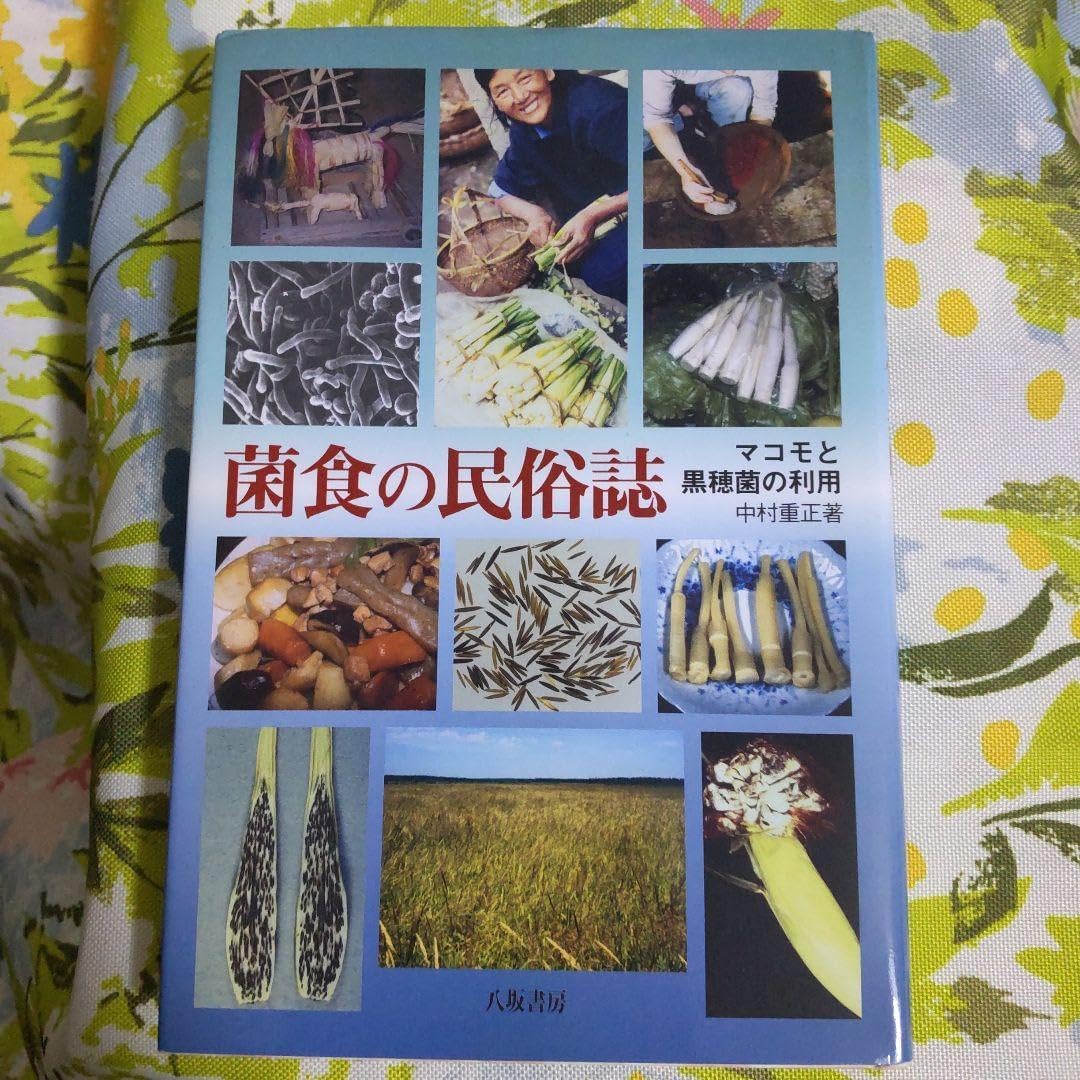 鹿児島の室内園芸 新しい園芸の楽しみ方 (鹿児島の園芸百科シリーズ
