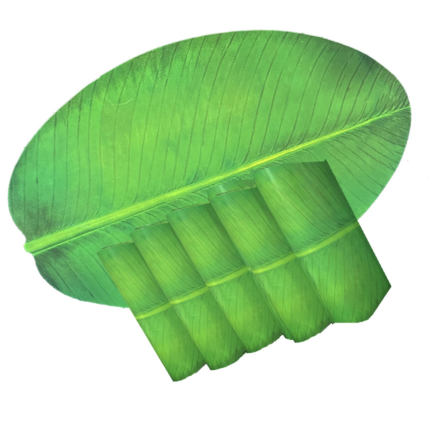 LaVichitra Paper Oval Decorative Placemats Table Mats For Dining Table Dining Kitchen Restaurant Table (Green, Set Of 6)-image-43
