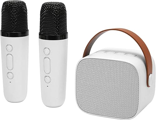 Máquina de karaoke, máquina de karaoke para fiestas, función de sonido de reverberación, graves profundos, multifunción, batería de larga duración