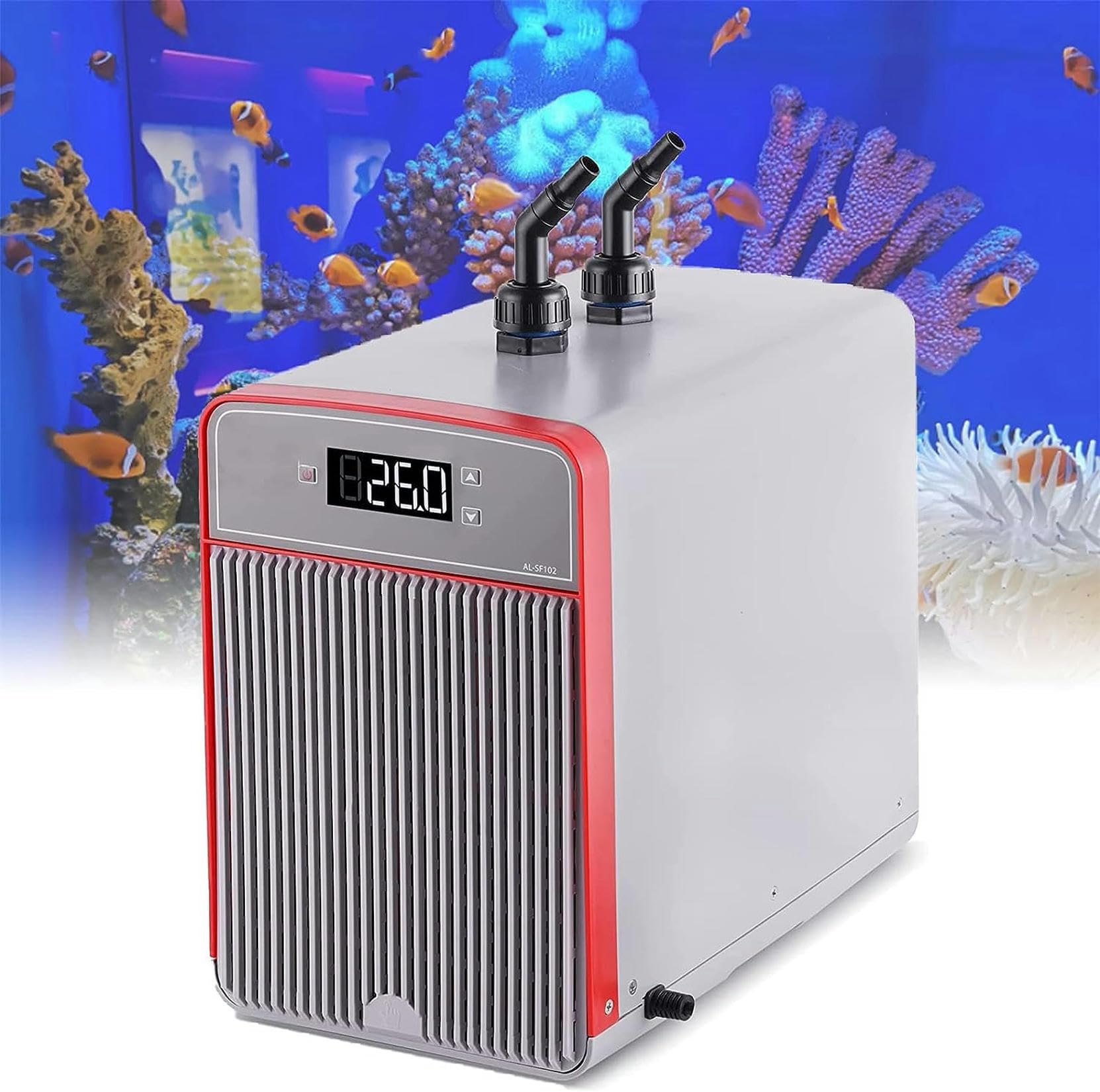 Aquarium à température constante XENITE pour le bien-être de vos poissons