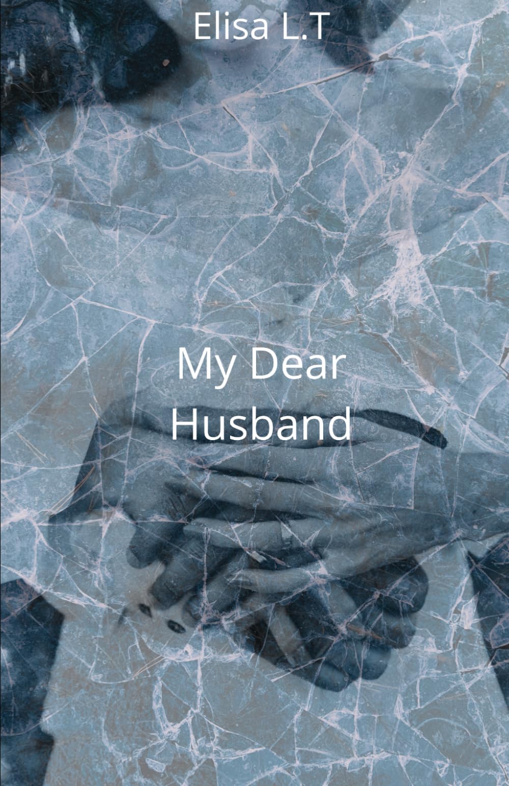 My Dear Husband: Tome 2