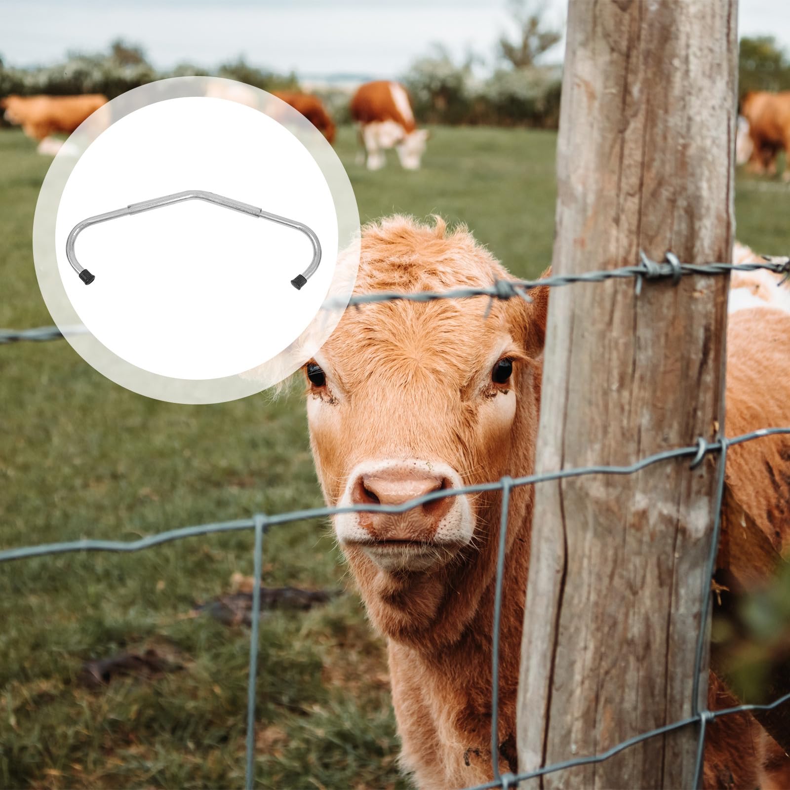 Uonlytech Accesorio Antipatadas Ajustable para Ganado de Granja, Varilla Galvanizada Desmontable para Uso Veterinario, Equipo Resistente para Manejo y Cría de Vacas