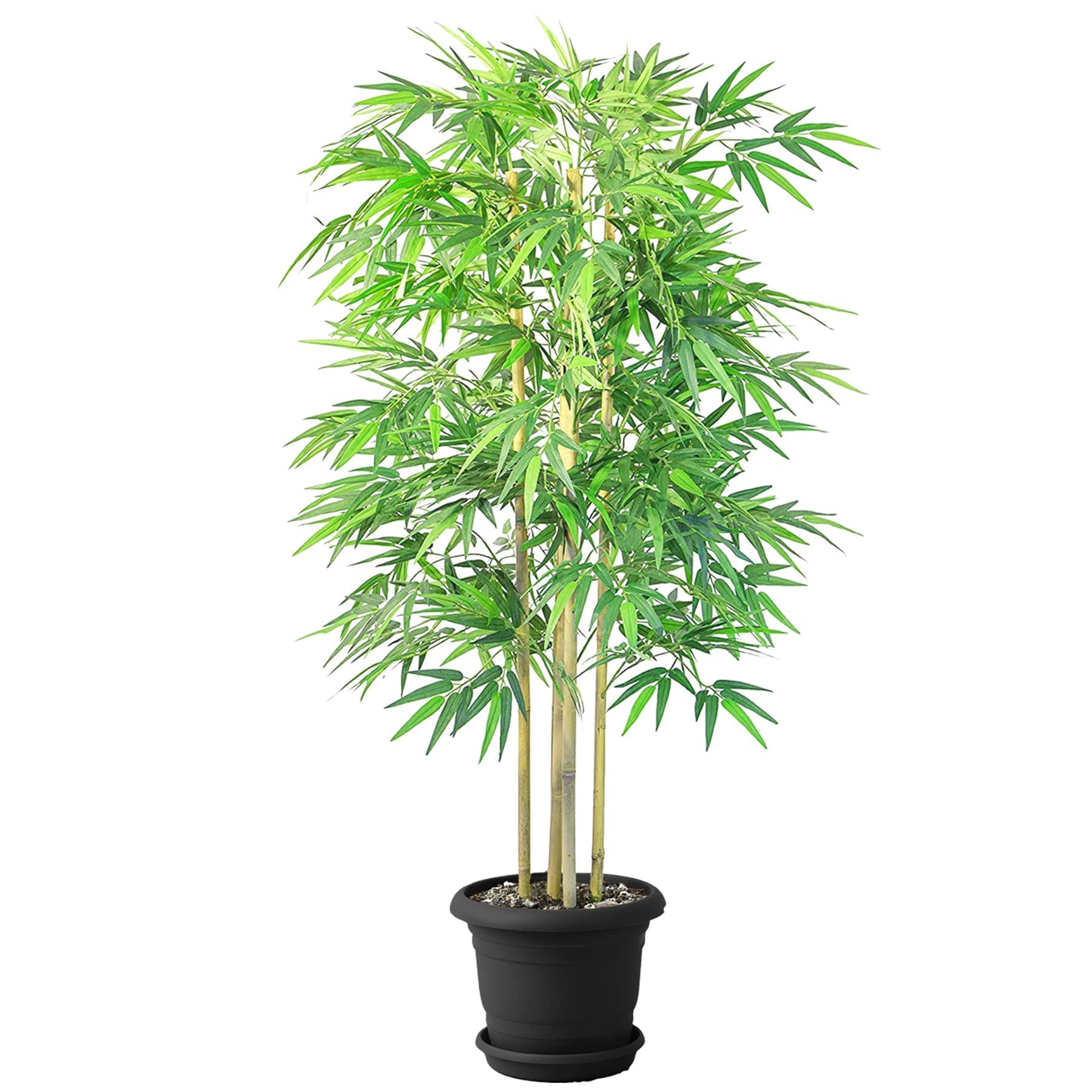 PLANTAWA Planta de Bambú 180 cm, Planta para decoración del hogar, Sin macetero, Planta de Bambú Artificial, Planta Interior para Decoración, Plantas y Flores Artificiales