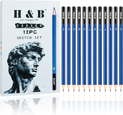 H & B Kit de 12 lápices de dibujo, H-4H, F, HB, B-6B, grafito y carbón para principiantes, artistas profesionales
