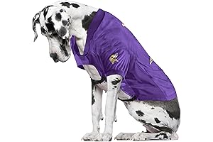 Unleash the Inner Viking Spirit with This Epic Dog Costume