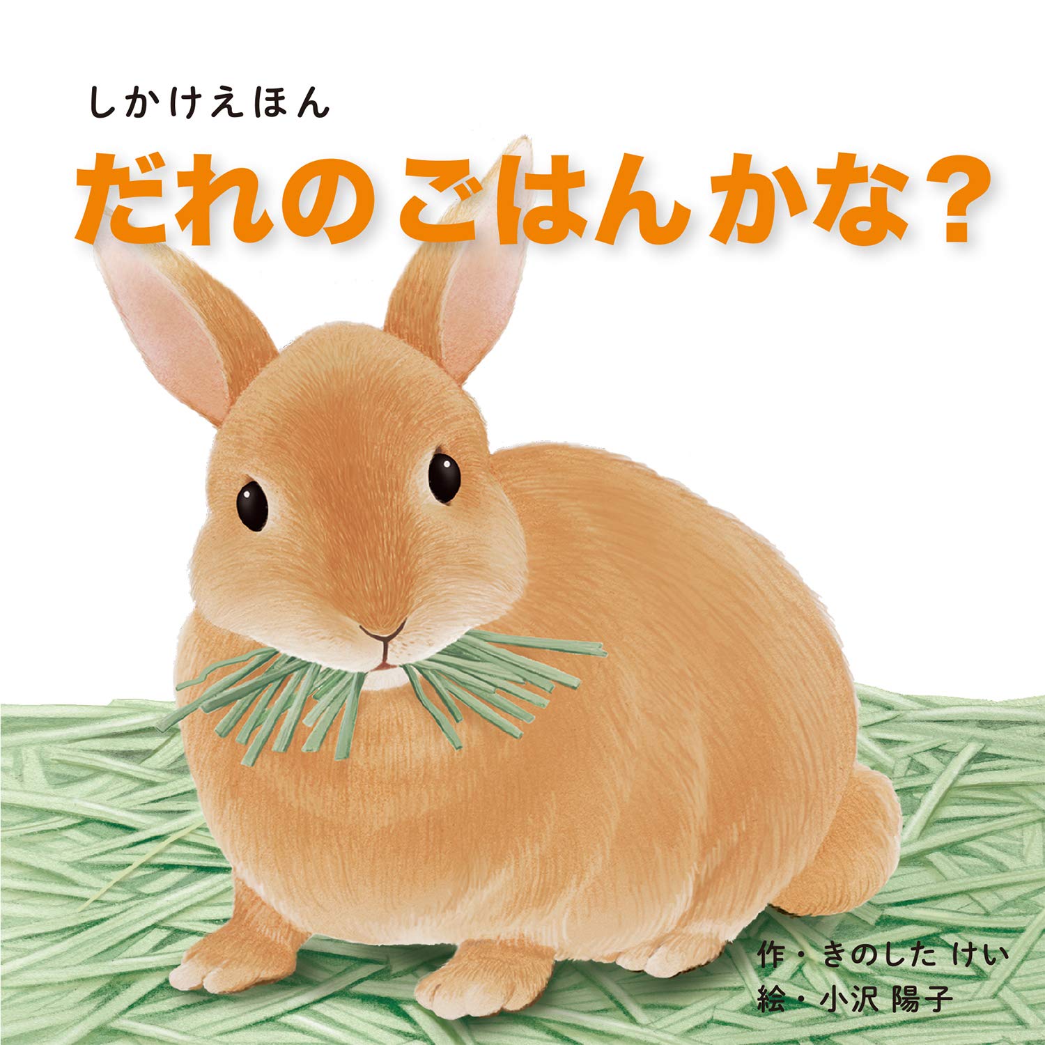 しかけ絵本 11冊 おべんとう だれのごはんかな？こねこが
