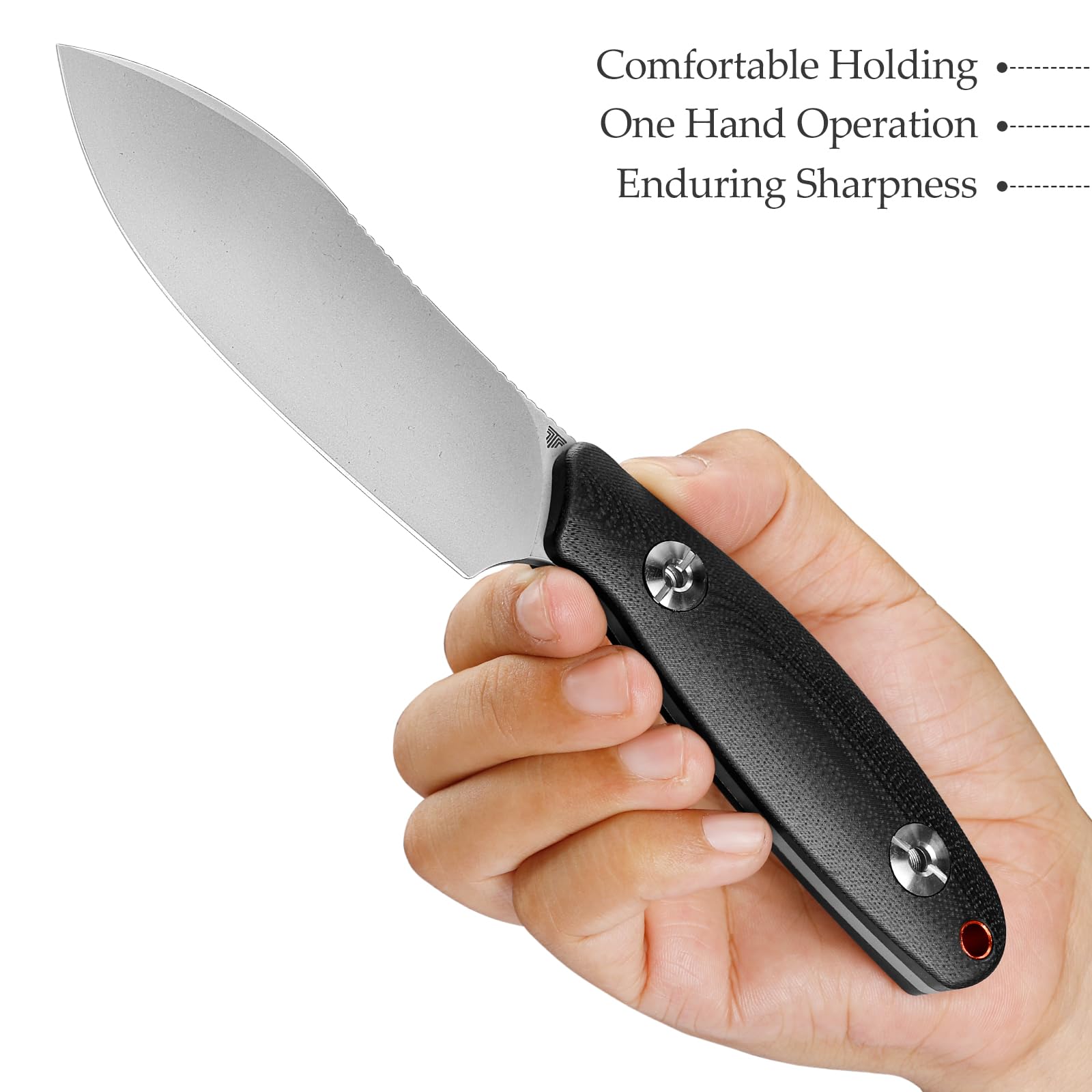 TRIVISA Lame Fixe de Couteau de Survie, Poignée G10 Noir, Outdoor Couteau avec Fourreau Kydex, Cadeau D'extérieur pour Homme, Aubergine-BG (Argent et noir)