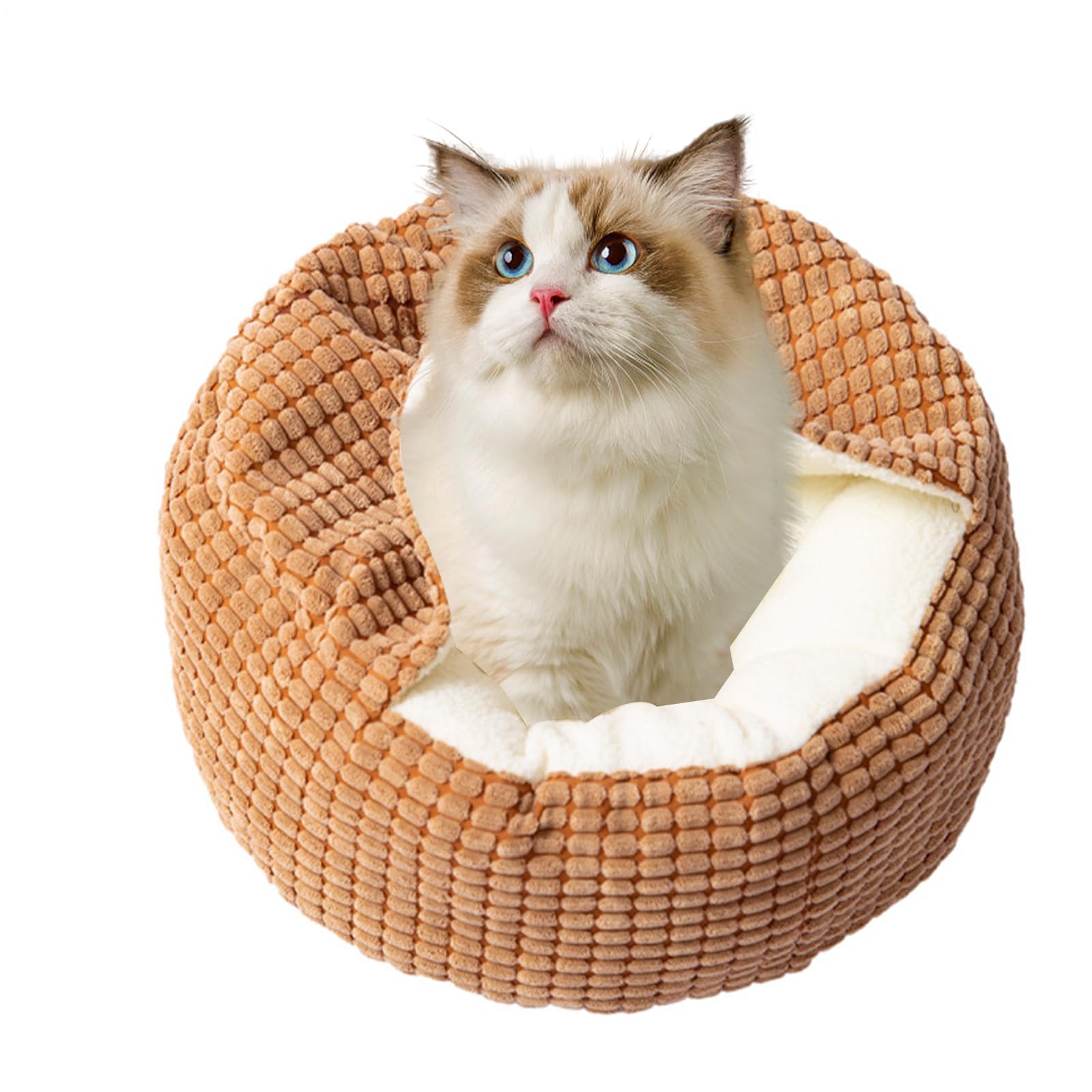 Lit pour chat et petit chien : nid douillet pour le salon, la chambre ou le balcon