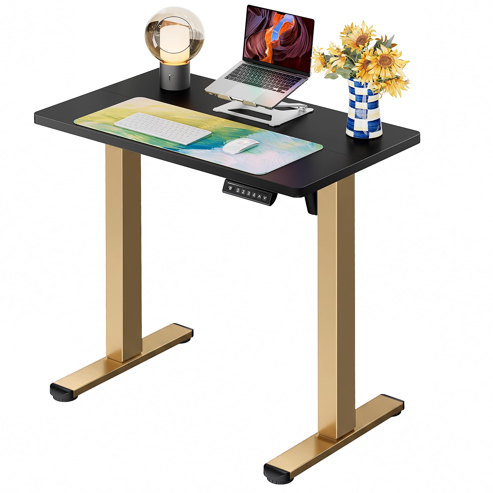 ErGear Electric Standing Desk