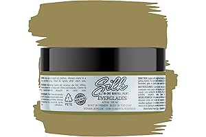 Dixie Belle Silk Mineral Paint : Everglades