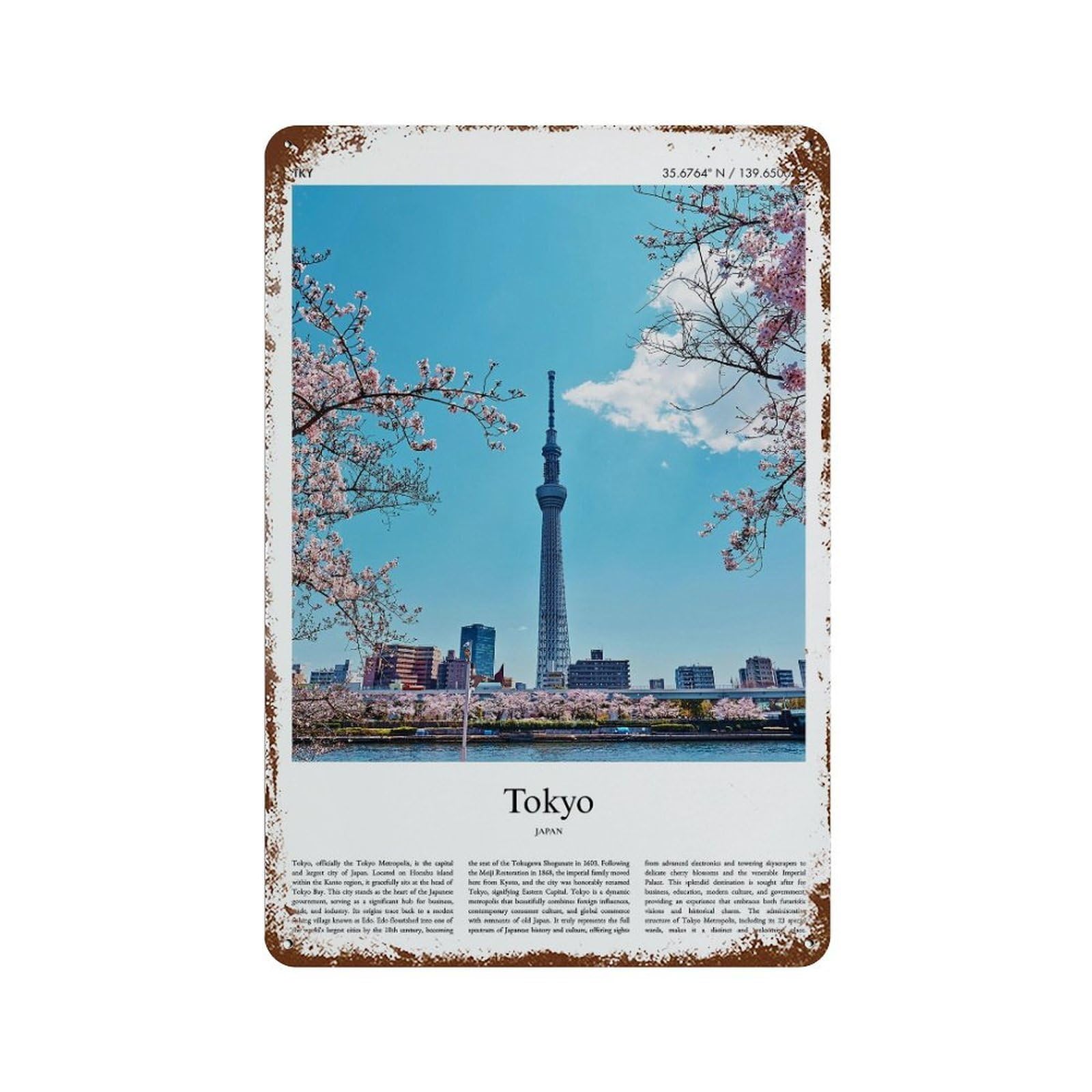 xiaoxiaoshen Tokyo Japan City Scenery Wall Decor Art Metal Tin Poster Modern Home Decor Art Home Bar Shop Decorations Vintage Sign 30x20cm