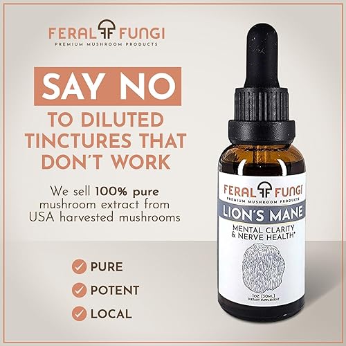 Miniatura 2 de Melena de león (Hericium erinaceus) 1 oz