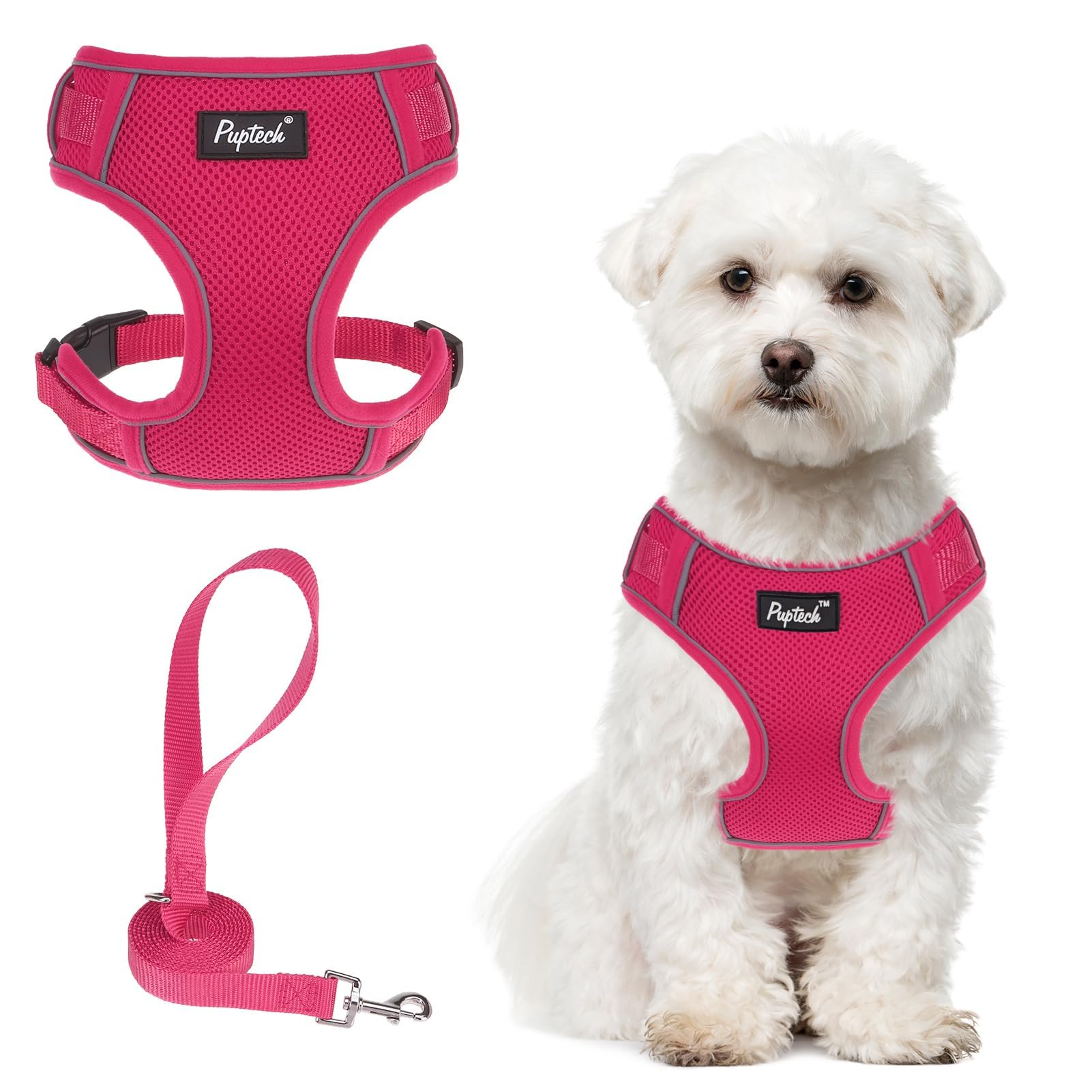 PUPTECK Small Dog Harness and Leash Set, No Pull Adjustable Puppy Cat Harness, Reflective Soft Mesh Pet Vest Small Sized, Fuchsia, M
