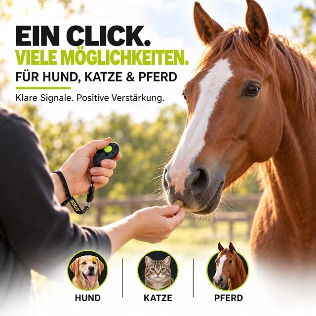 Foto 7 de 7 de ASCO Clicker Premium para perros y gatos para entrenamiento profesional de clickers con correa elástica