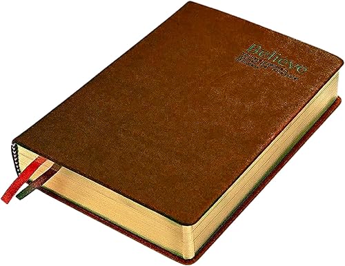 BSHITWO Cuaderno de tapa dura, 8.3 x 5.7 pulgadas, tamaño A5, de cuero sintético, tapa dura, papel en blanco, 4 colores, 300 hojas, 600 páginas para