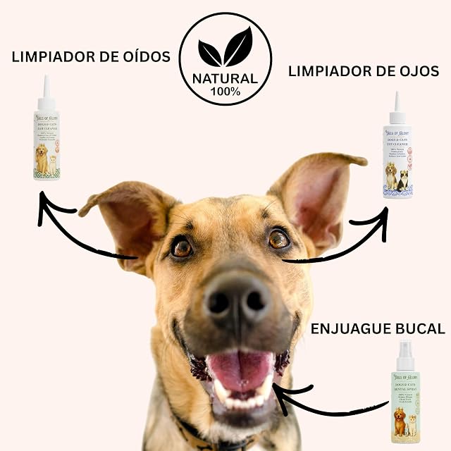 Foto 2 de 8 de Kit de higiene para perros y gatos: ojos, oídos y cuidado dental