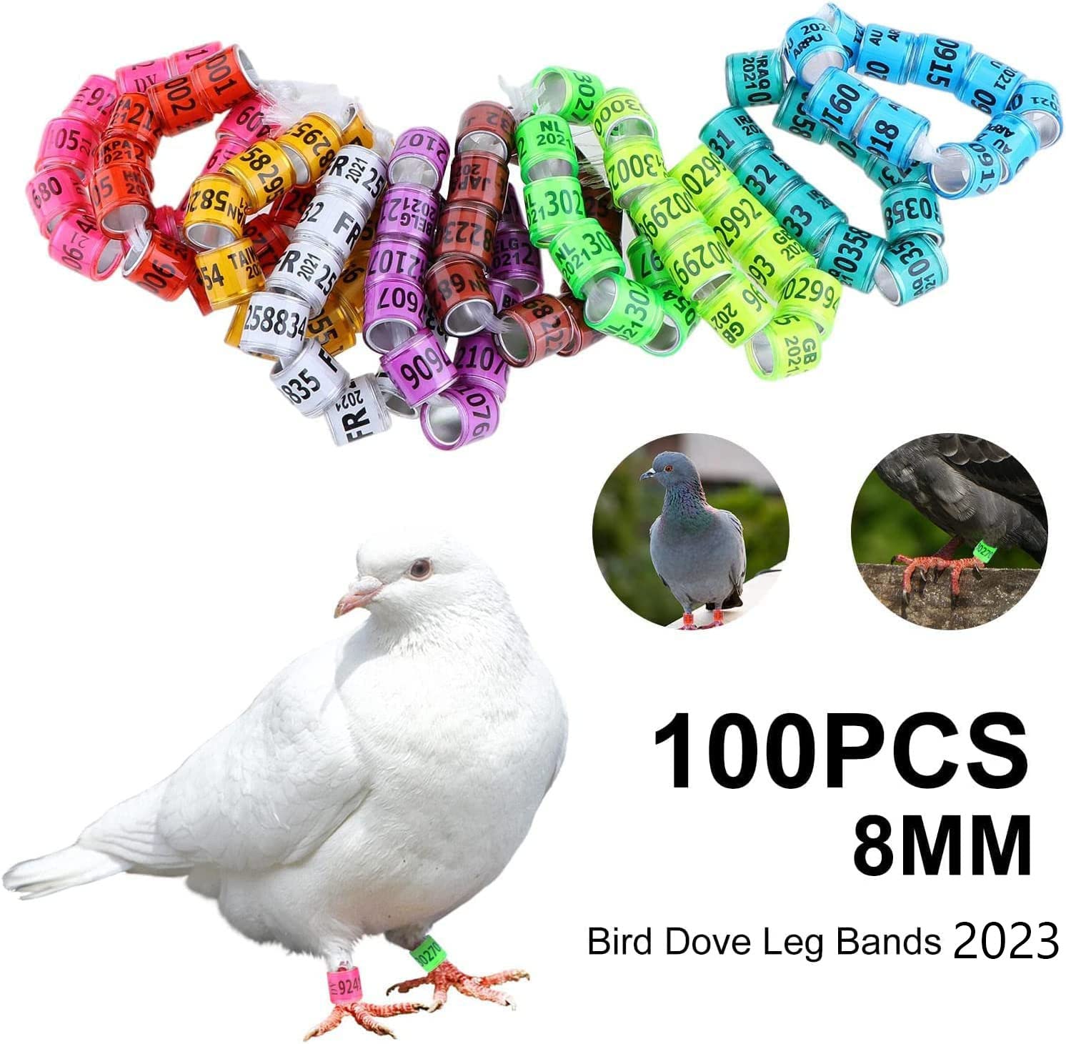 100Pcs Multicolor Aluminium Pigeon Leg Rings Dove Leg Rings with 2025 AU Pigeon Foot Ring with Word Earring, Quality Durable, Quail Leg Bands Baby Chick Leg Bands Pigeon Bands Chicken Leg Bands Rings