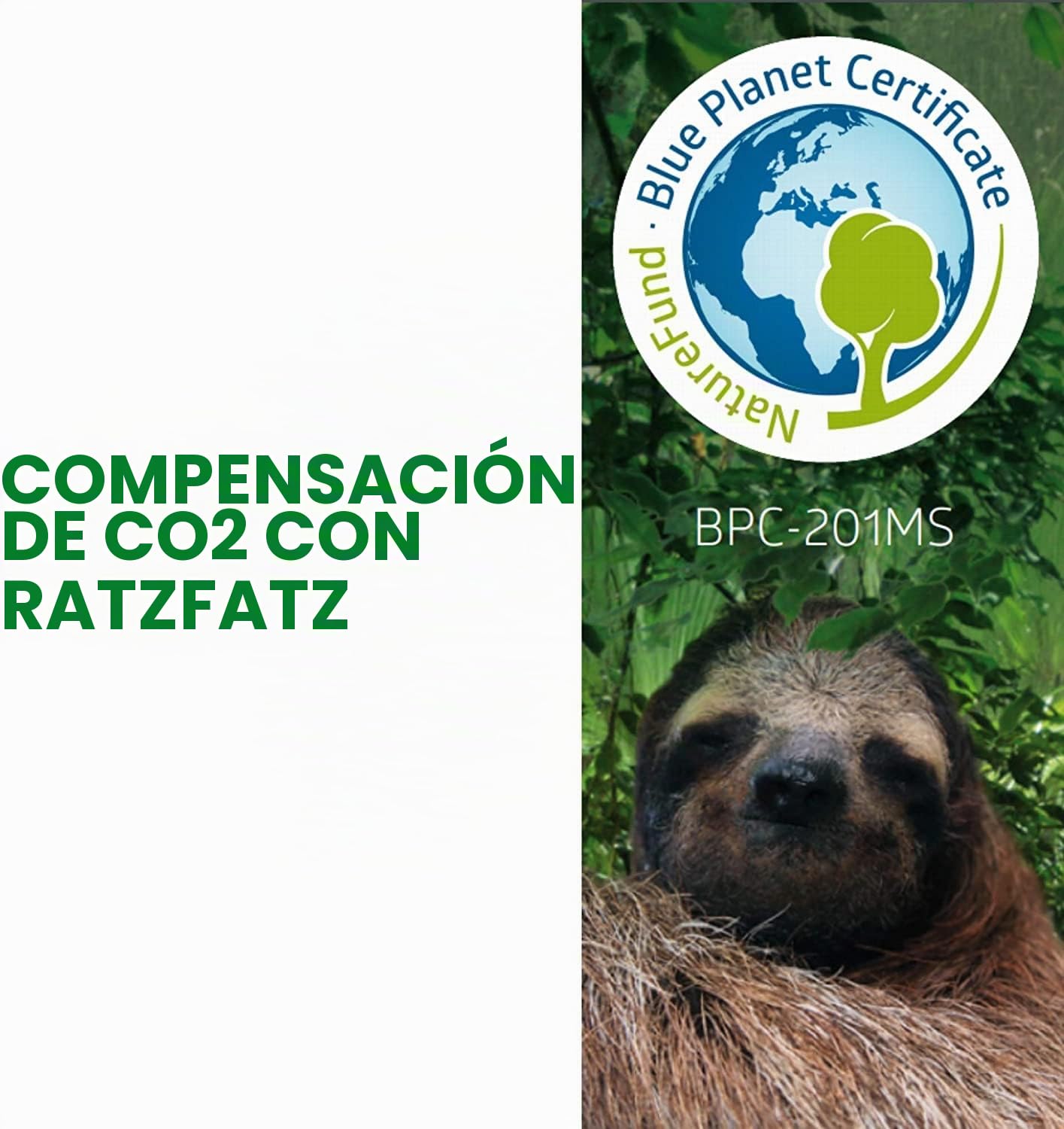 Jaulas de Trampa Ratzfatz, Trampa para Ratones, Desratización Humanitaria Profesional, Jardín y Hogar, Juego de Trampas para Animales, Conejos y Hámsteres, Sensibilidad Ajustable, Multiusos, Caza
