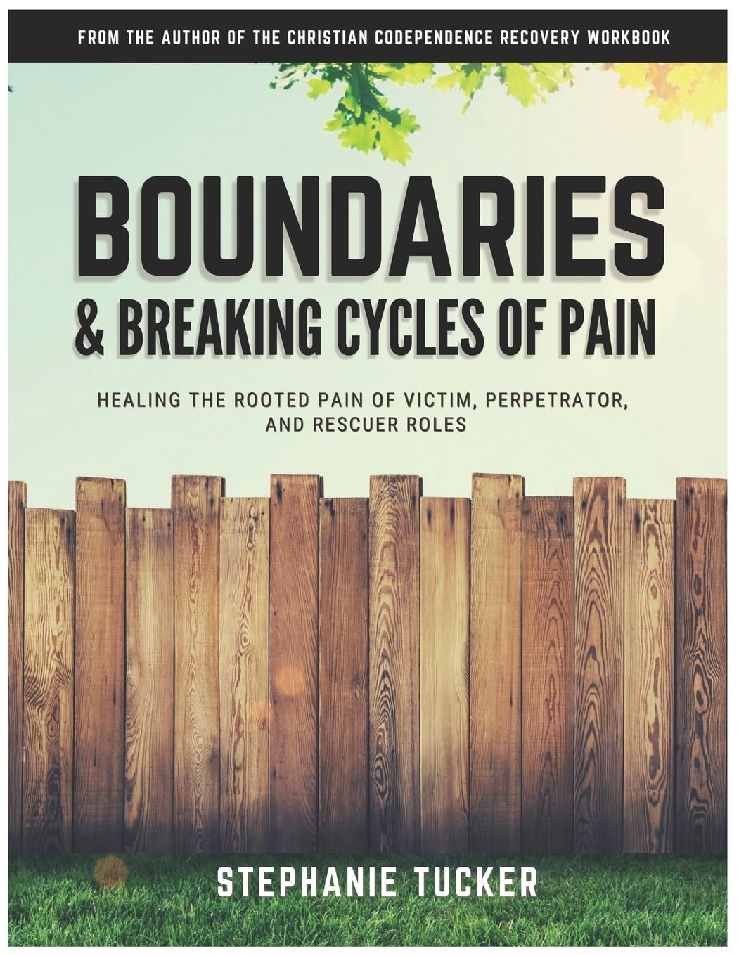 Boundaries & Breaking Cycles of Pain: Healing the rooted pain of victim, perpetrator and rescuer roles
