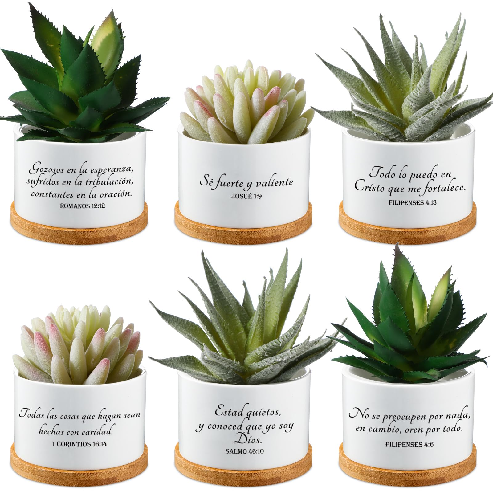 Amazon.com : Sieral 6 Pcs Spanish Bible Verse Succulent Pots White Ceramic  Flower Planter with Bamboo Tray Small Pots Christian Gift Succulent  Planters for Patio Garden 3 x 3 x 2 Inch,