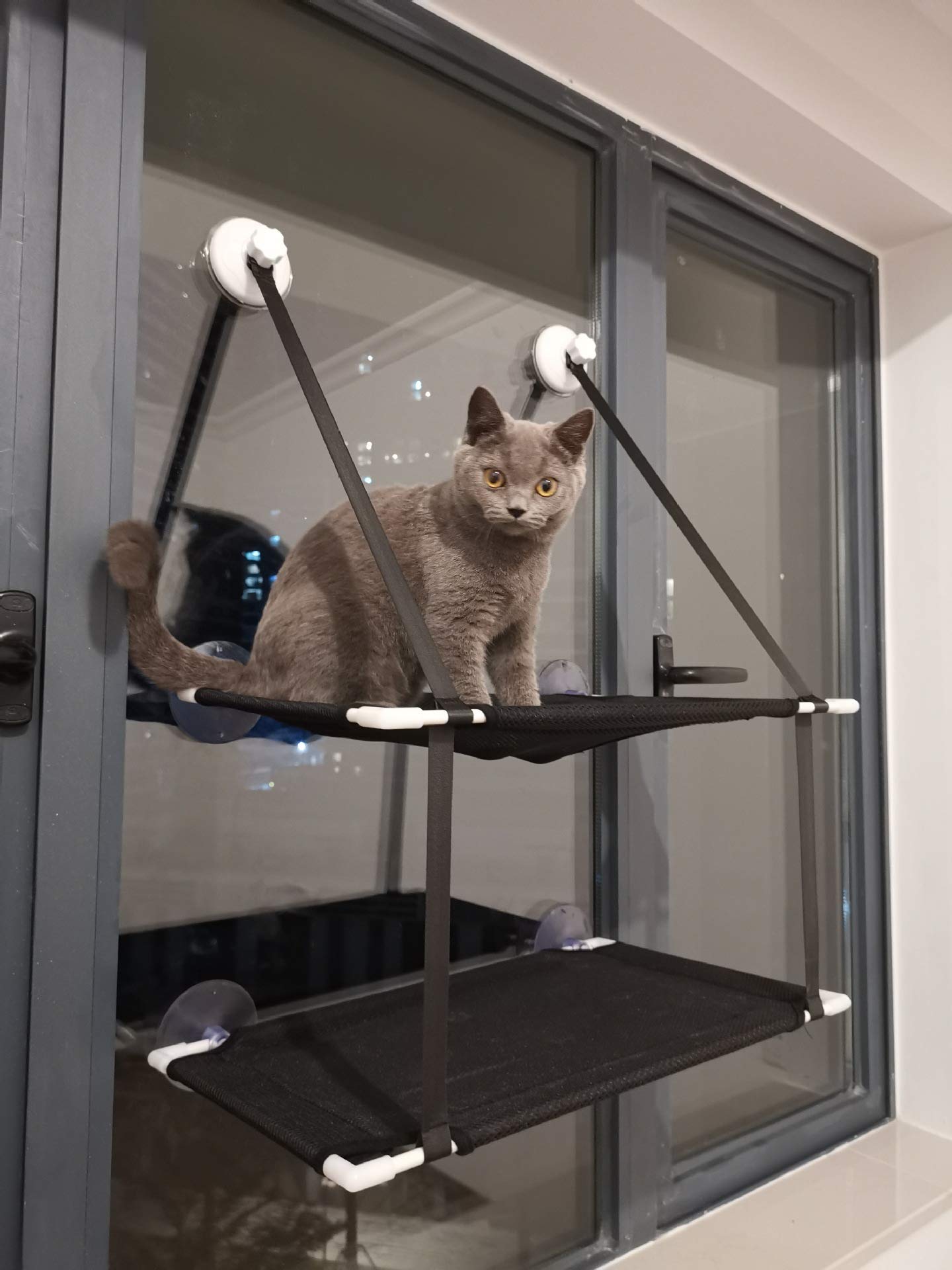 Amaca per Gatti a Doppio Strato con Installazione Sospesa, Forte Ventosa, Morbido Sedile di Riposo per Finestra per Gatti per Balcone e Altro Ancora (Black)