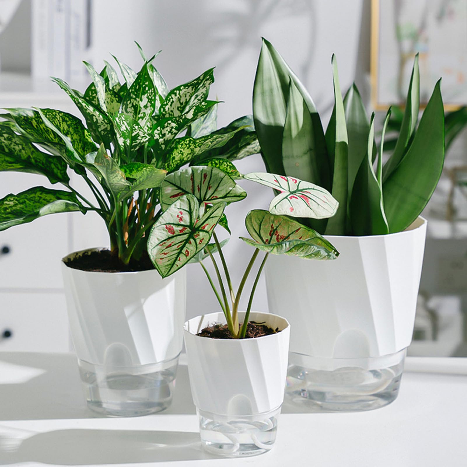 Lot de 3 pots à arrosage automatique avec trou de drainage - Réservoir transparent - Pour intérieur et extérieur - Avec soucoupe - Avec corde de mèche